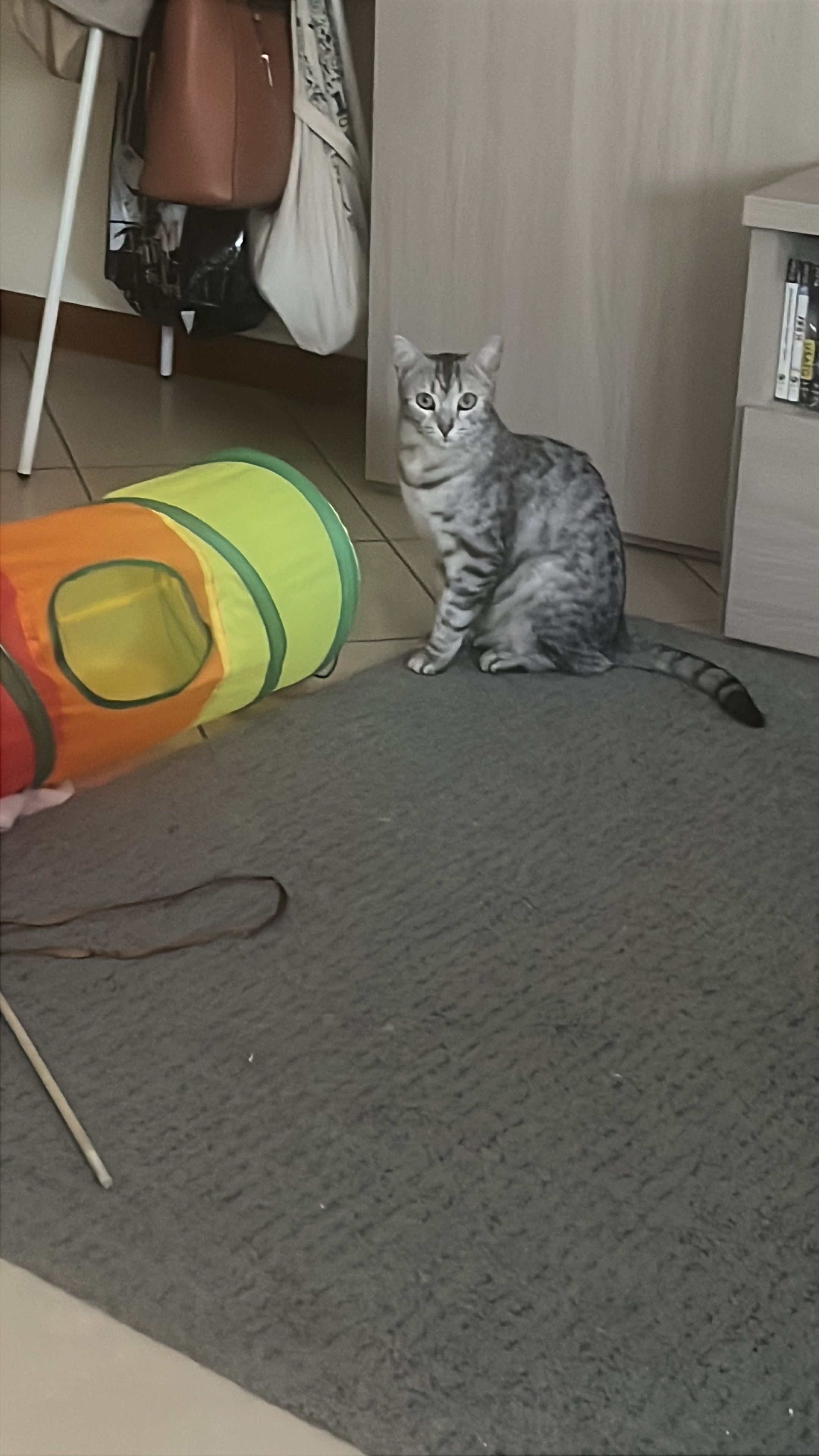 image-8