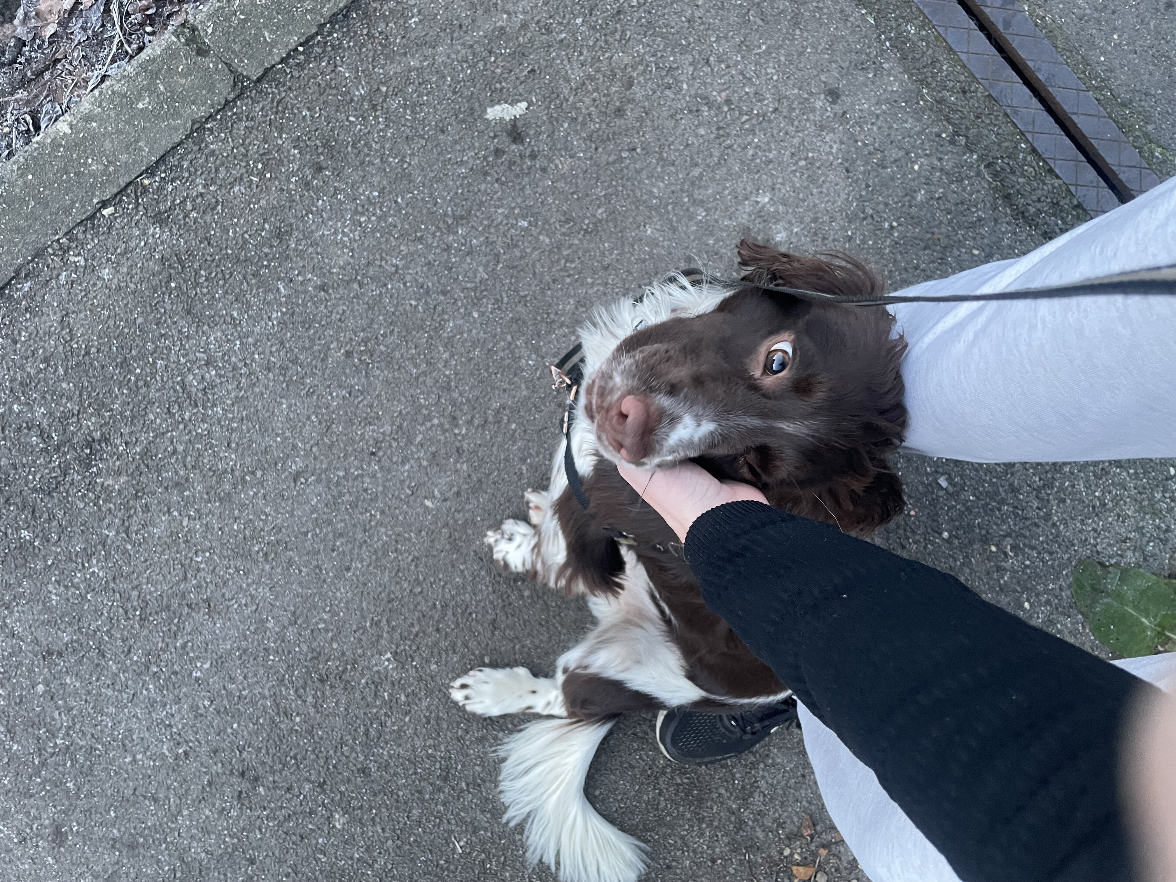 image-6