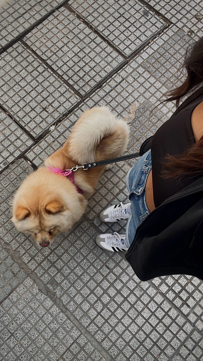 image-26