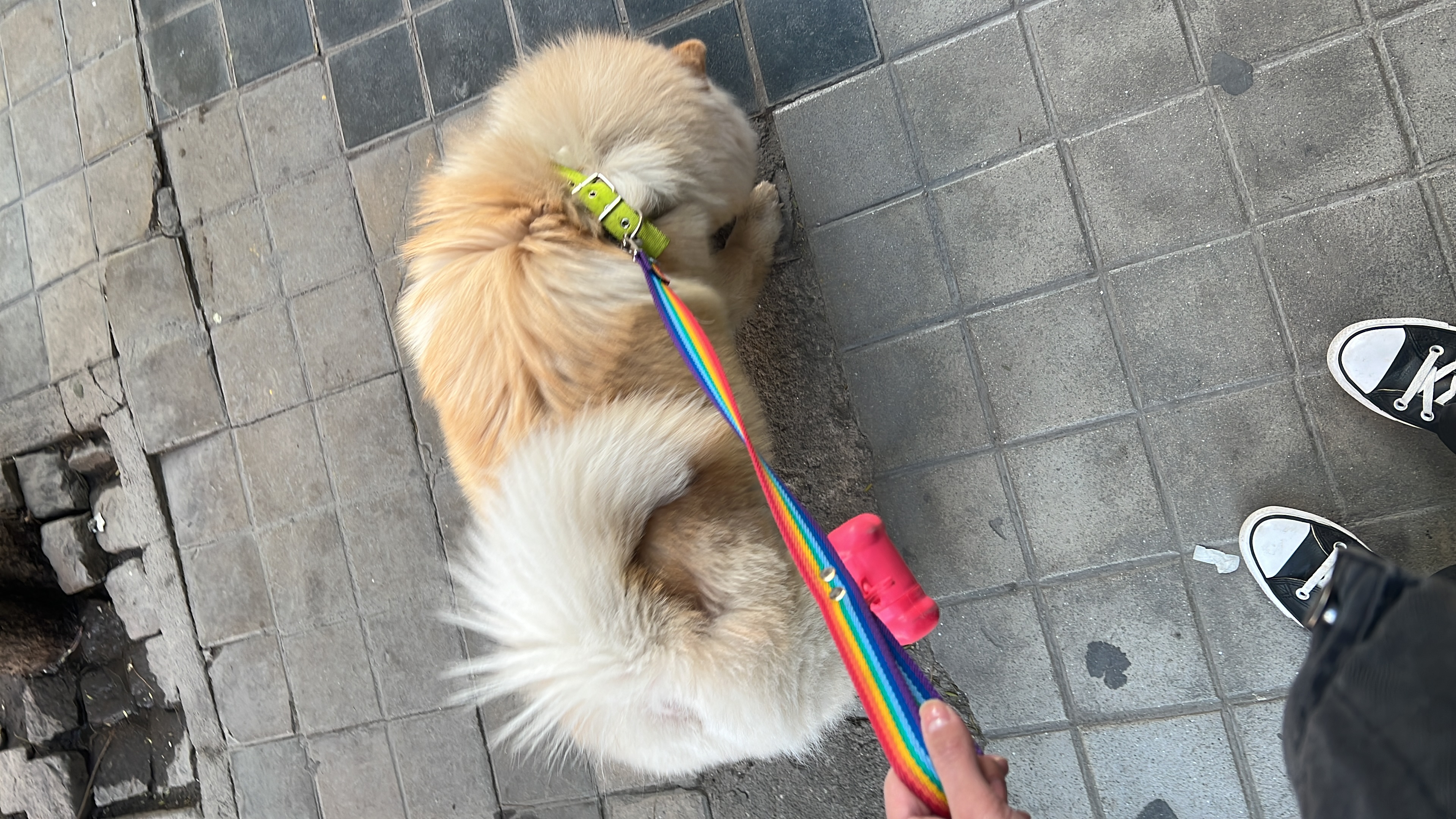 image-14