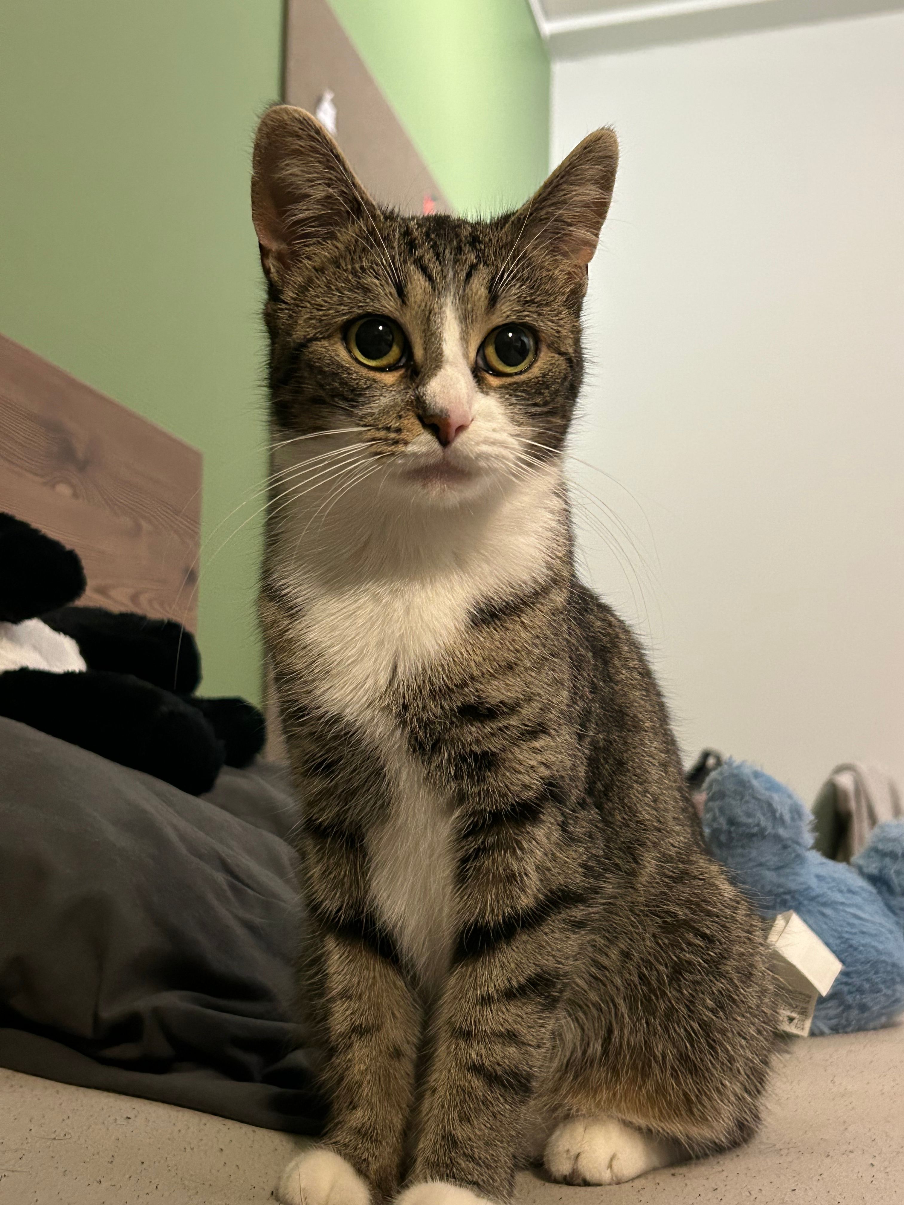 image-1