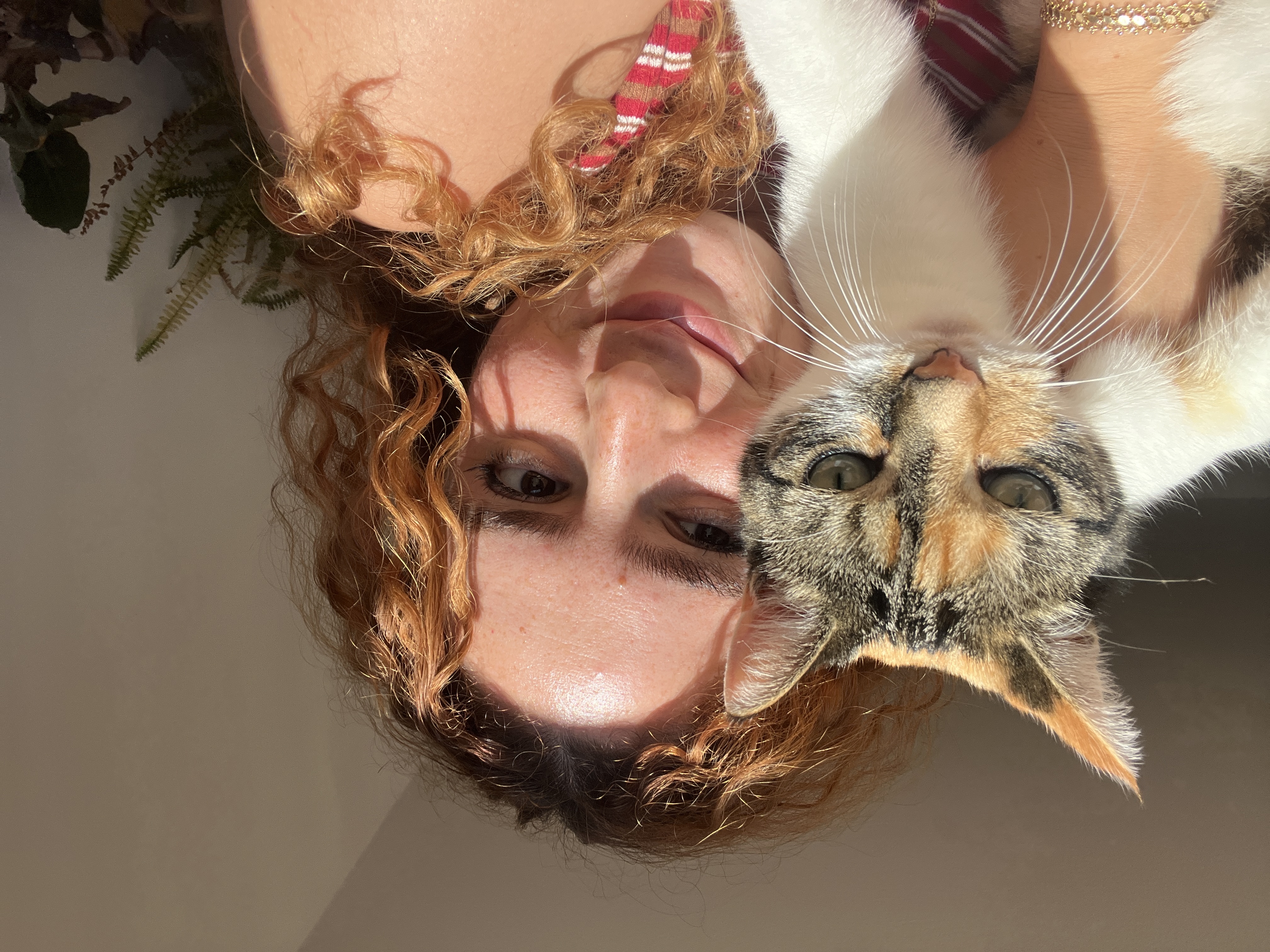 image-8