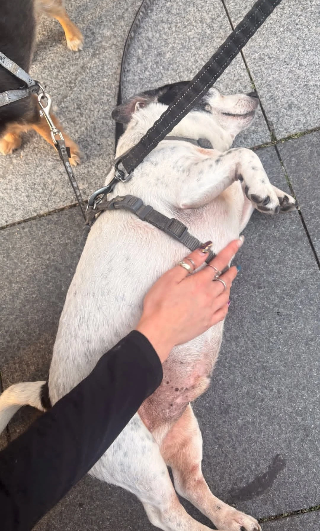 image-6