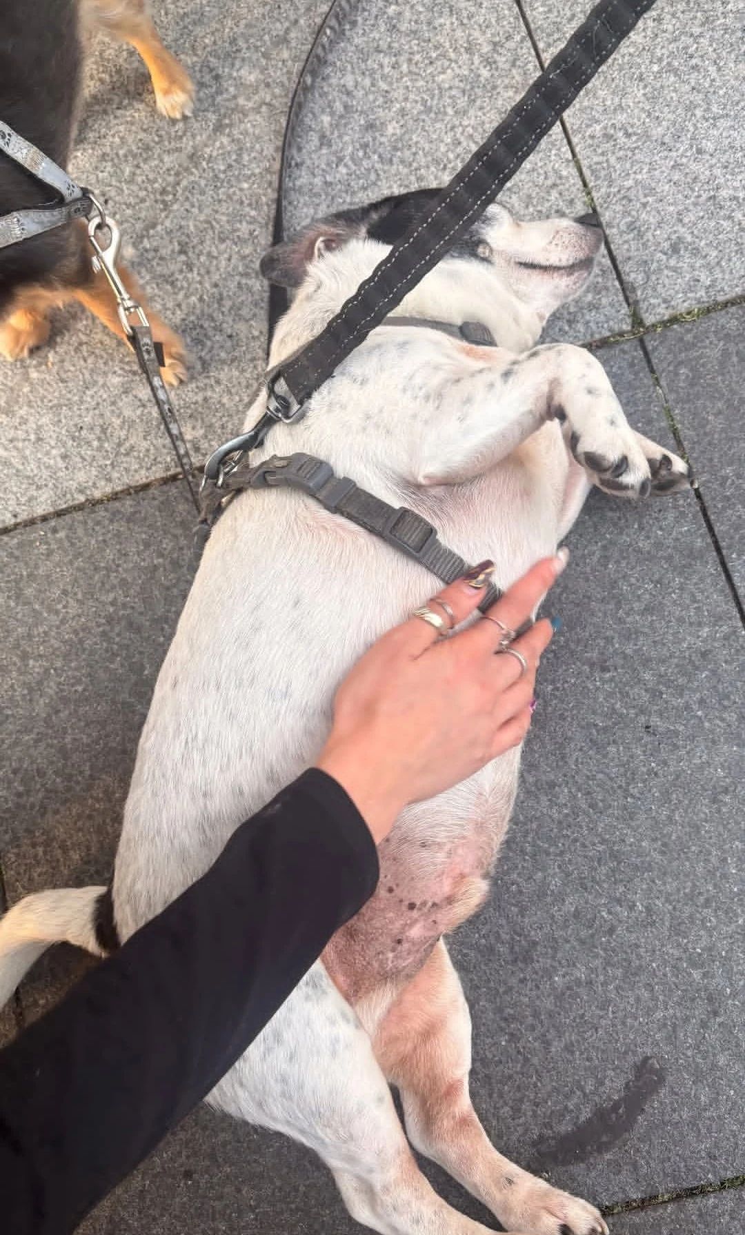 image-6