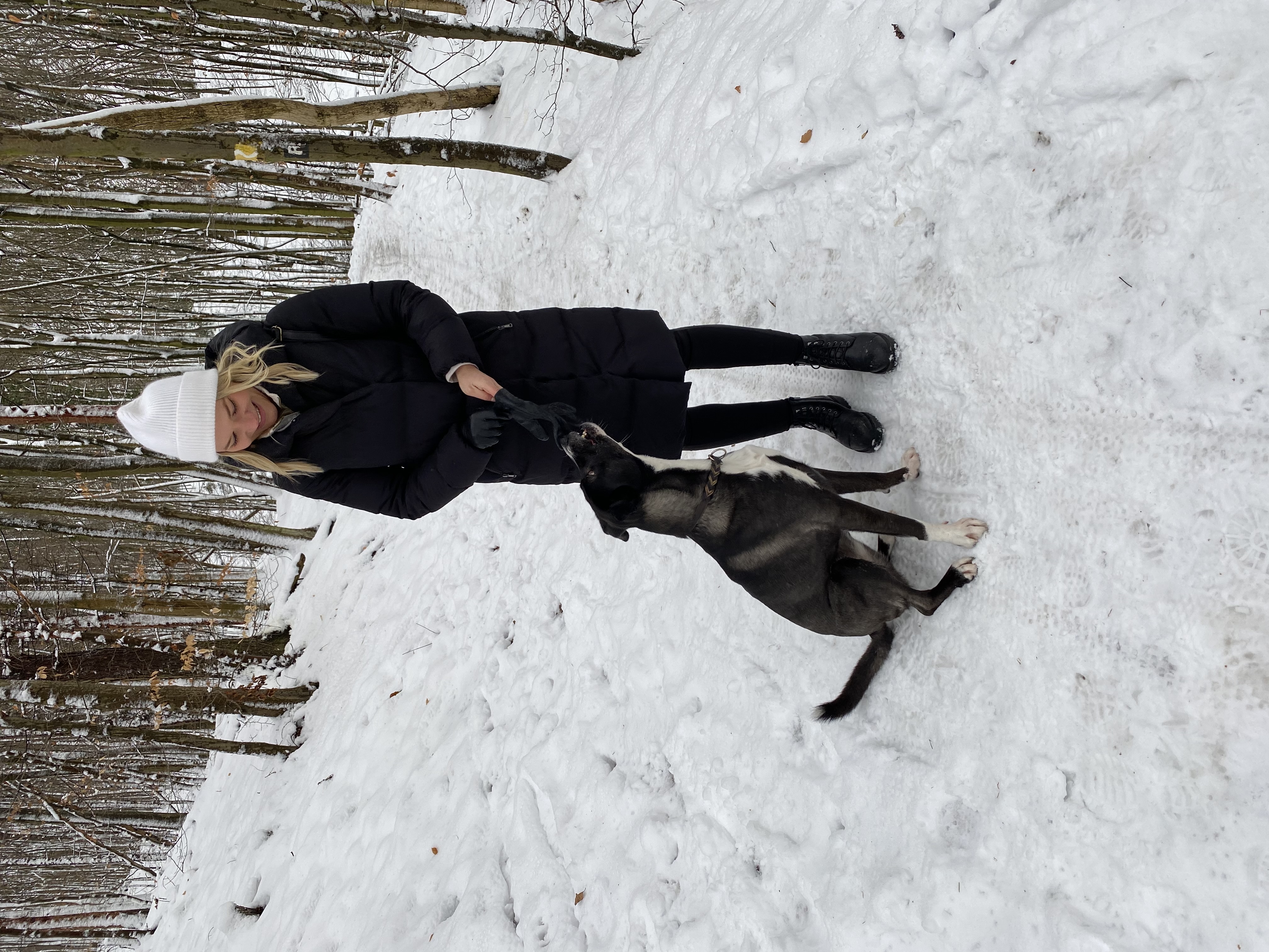 image-9