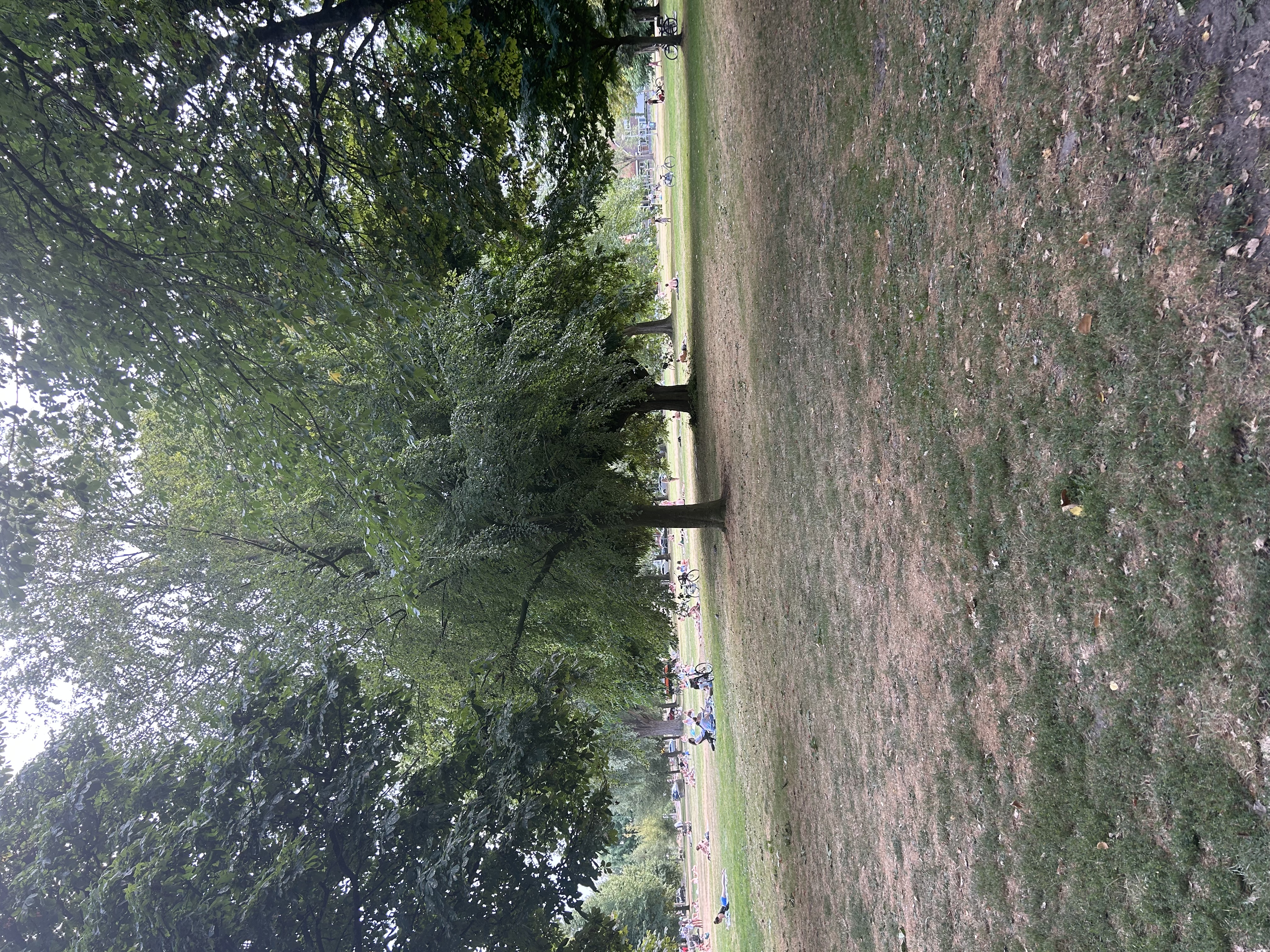 image-17
