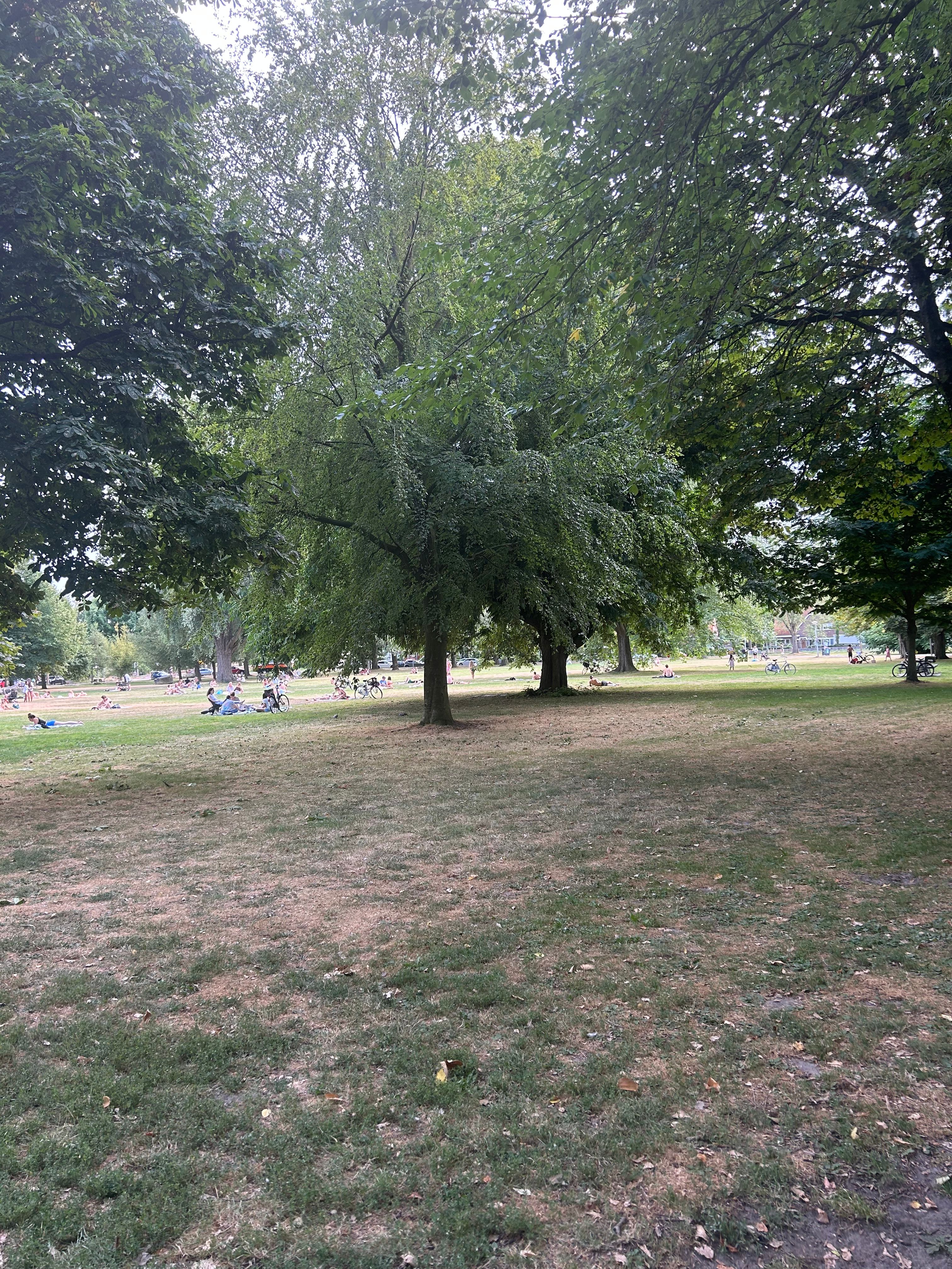image-17