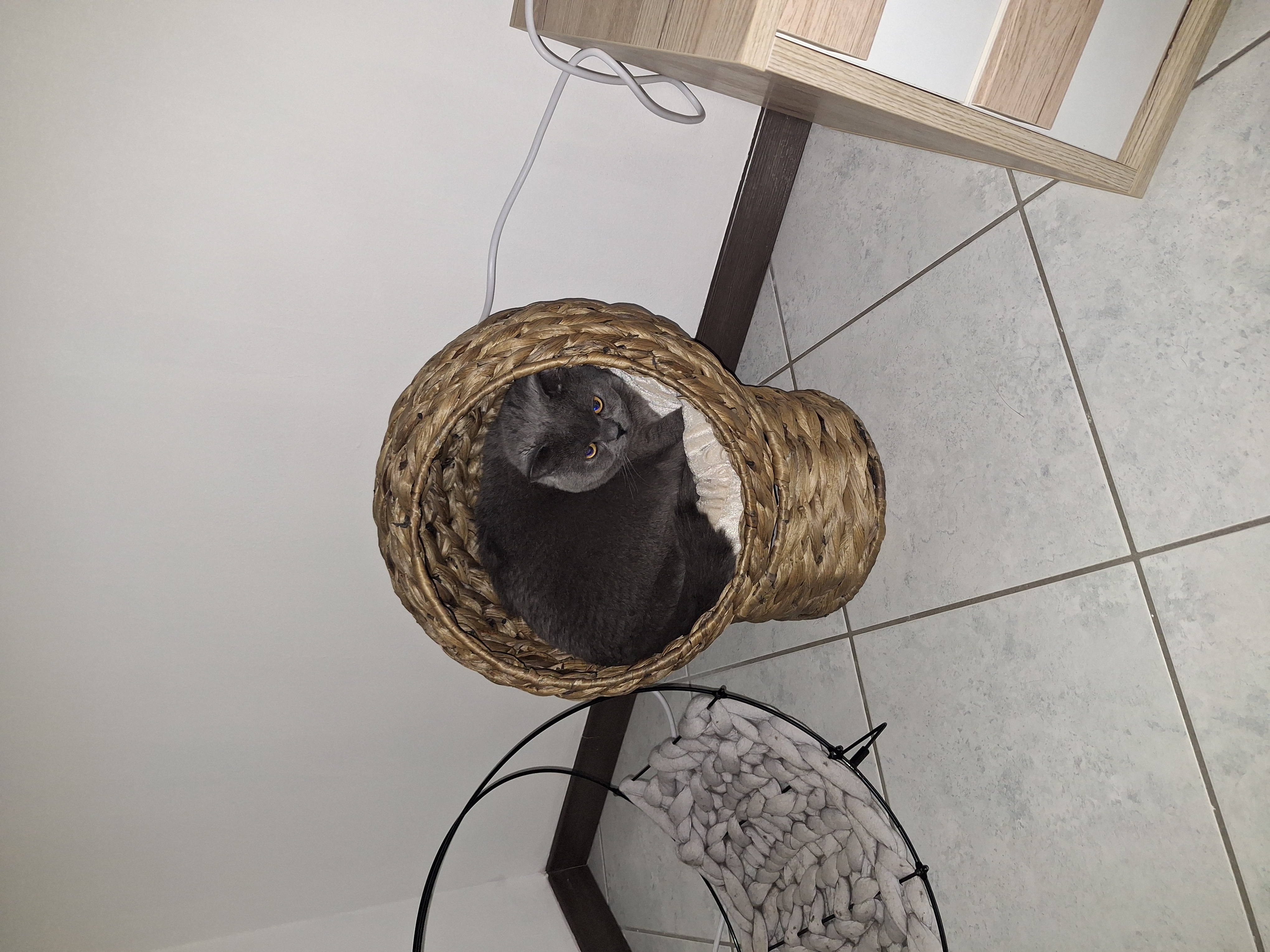 image-10