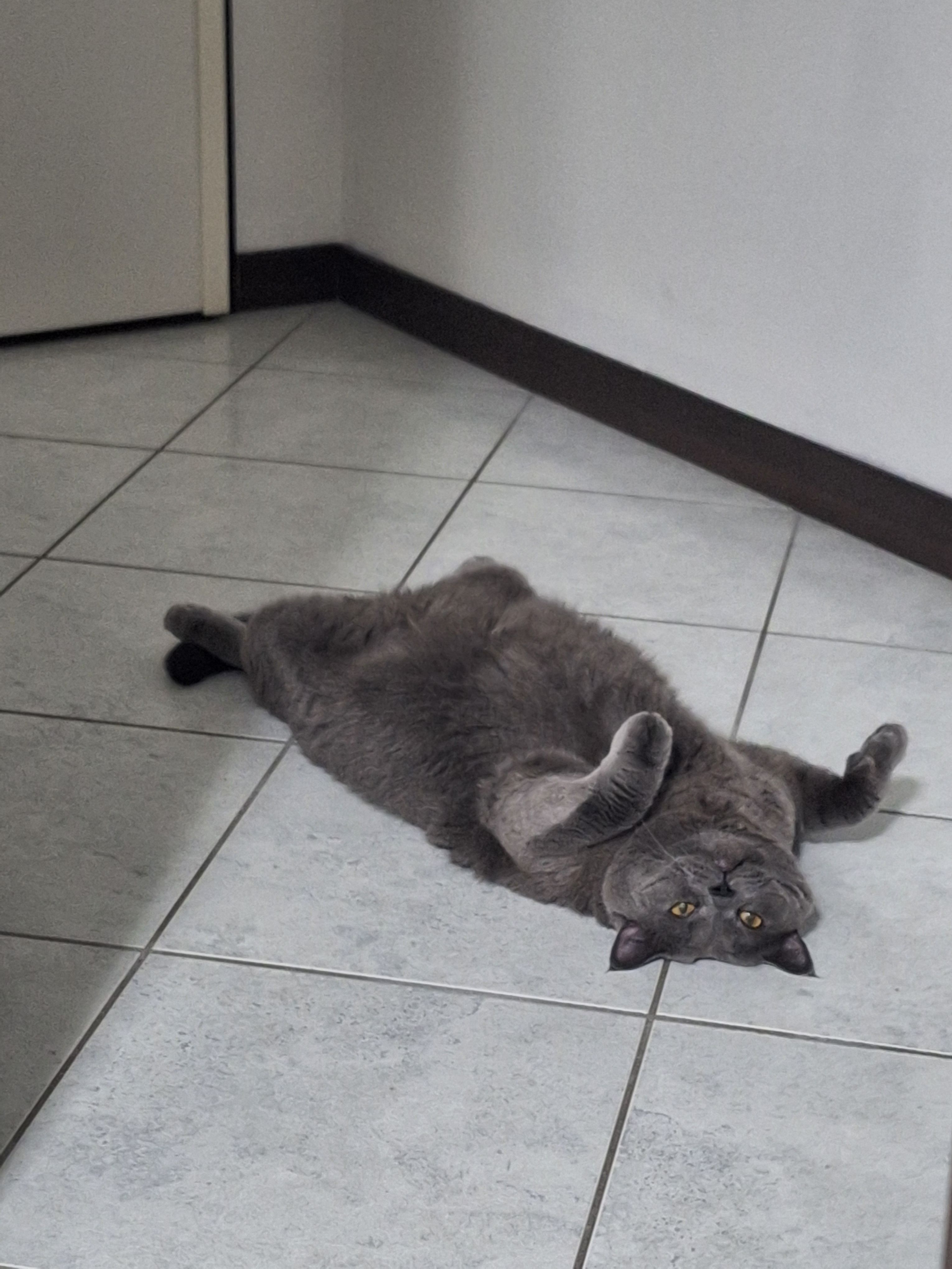 image-13