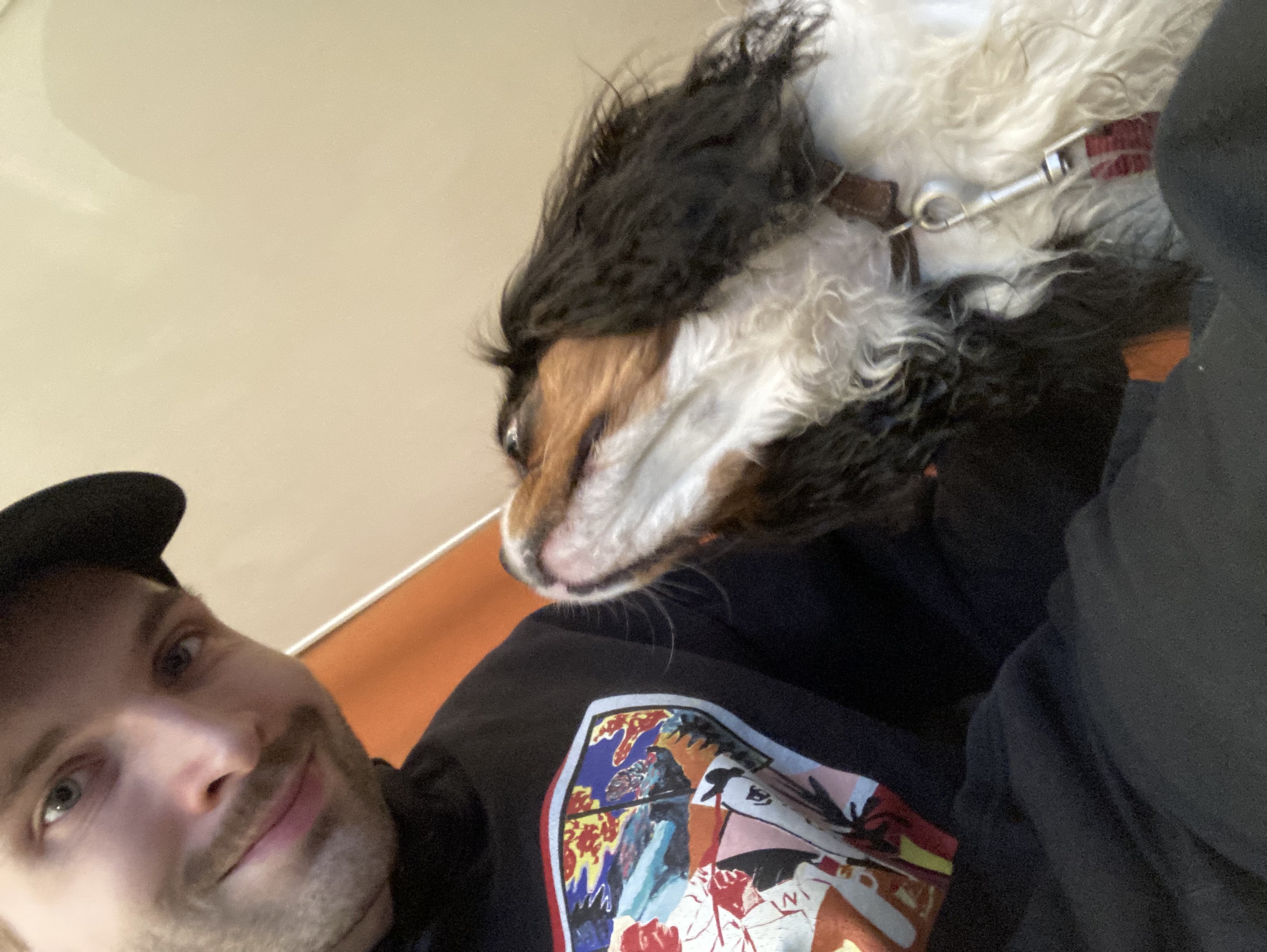 image-6