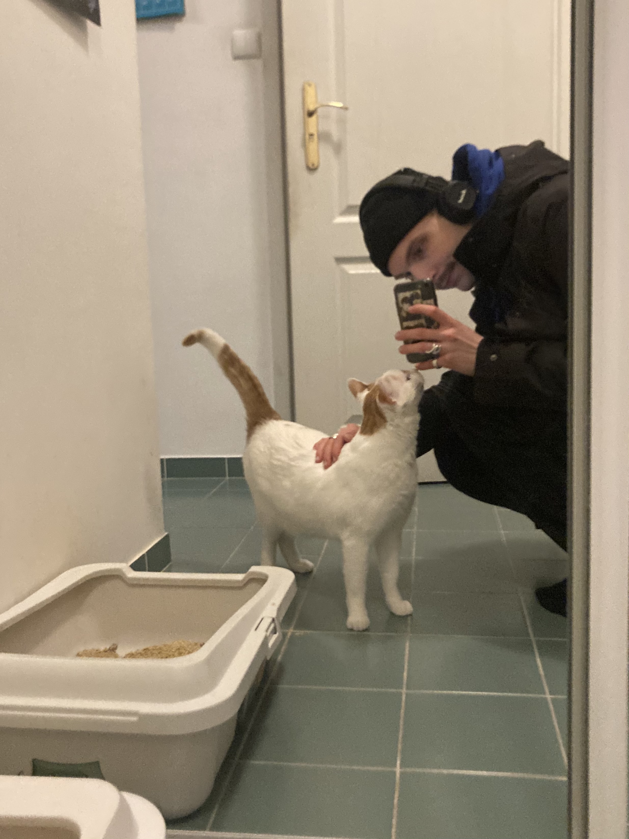 image-7