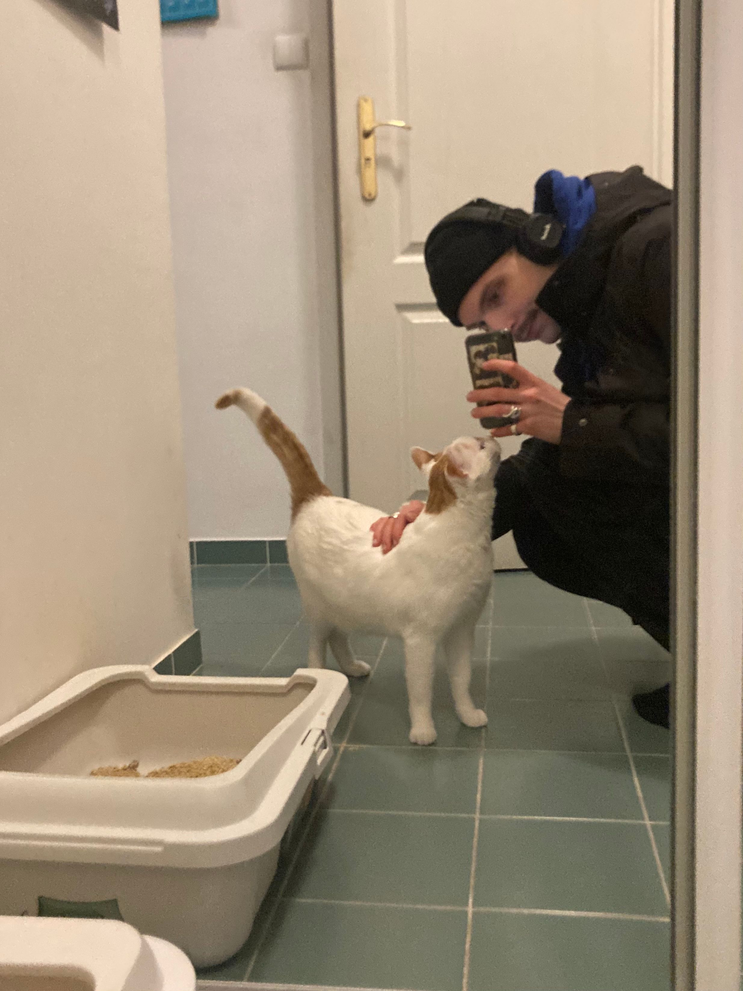 image-7