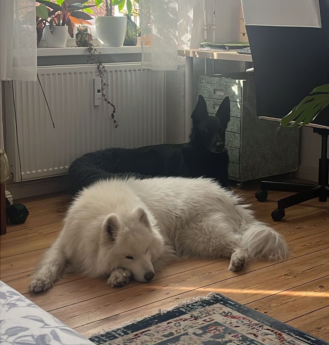 image-10