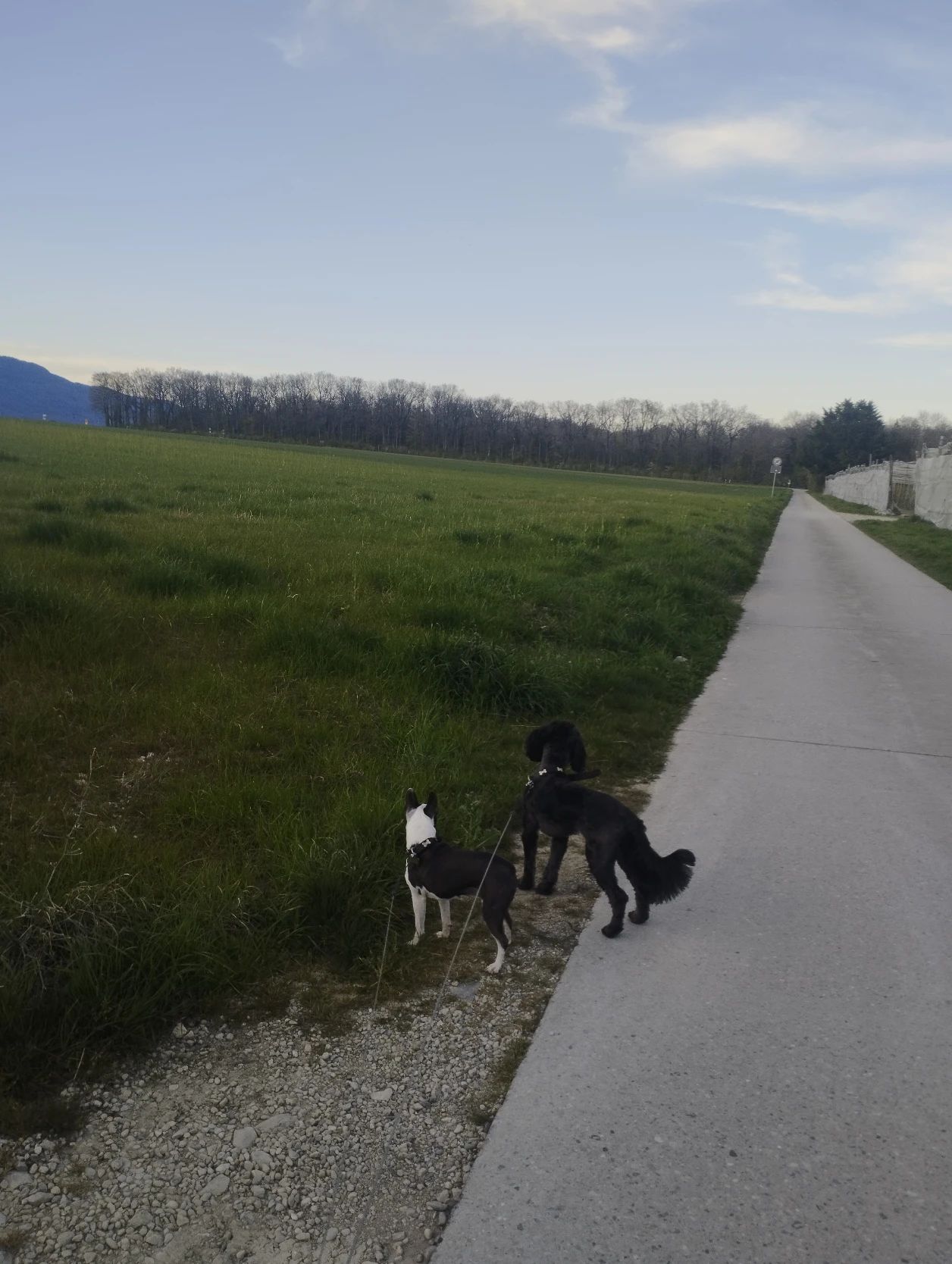 image-14