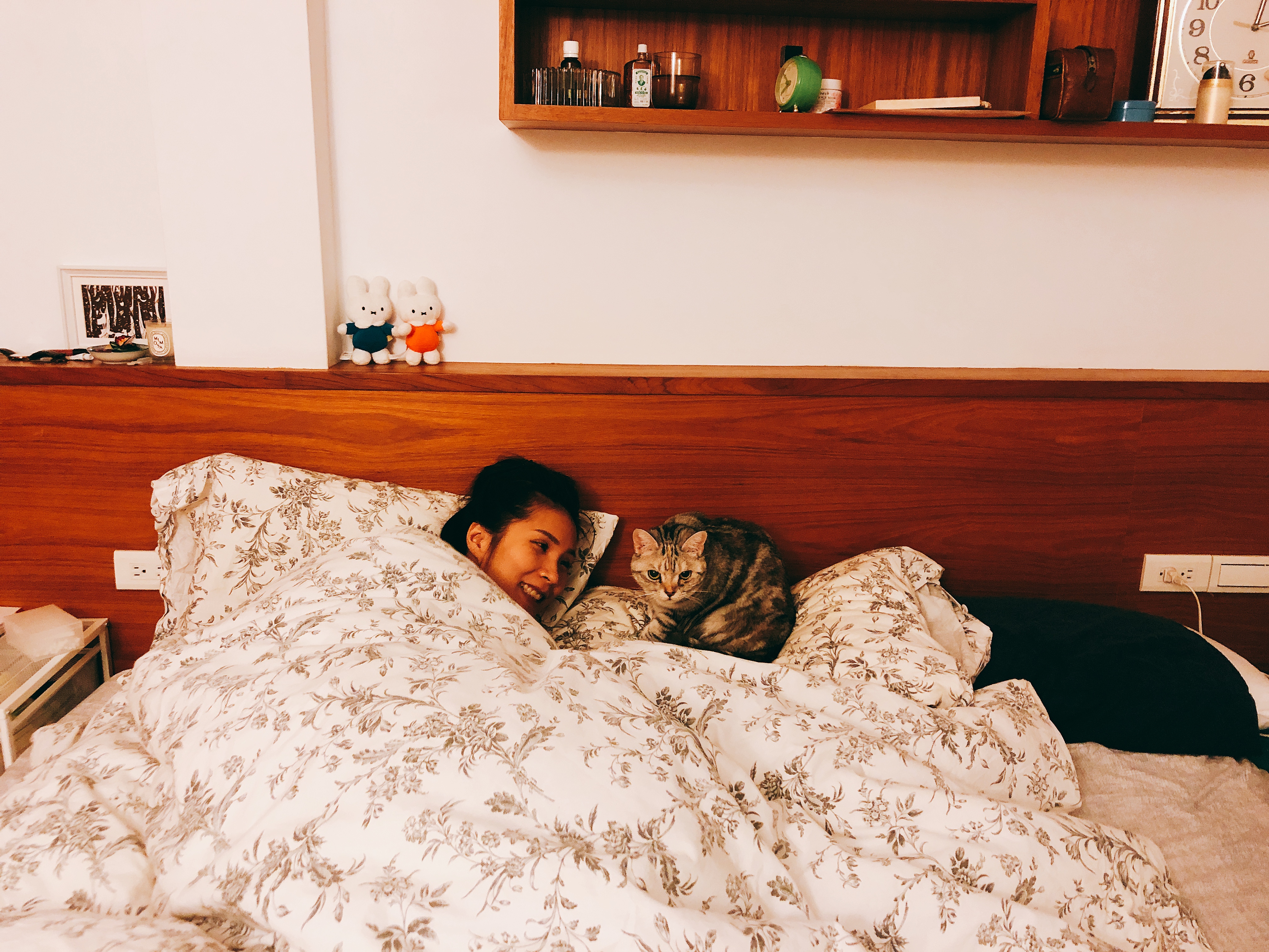 image-7