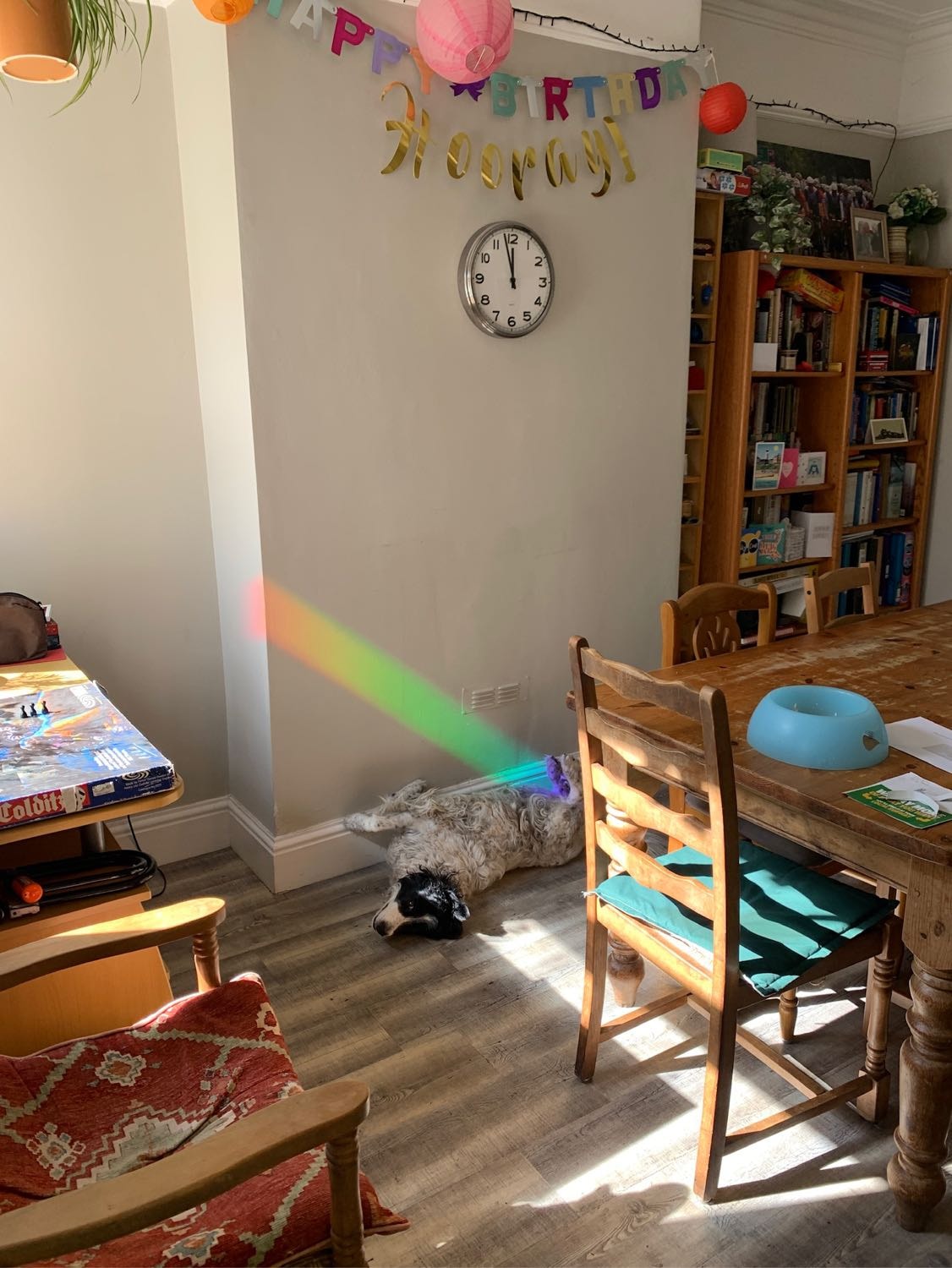 image-7