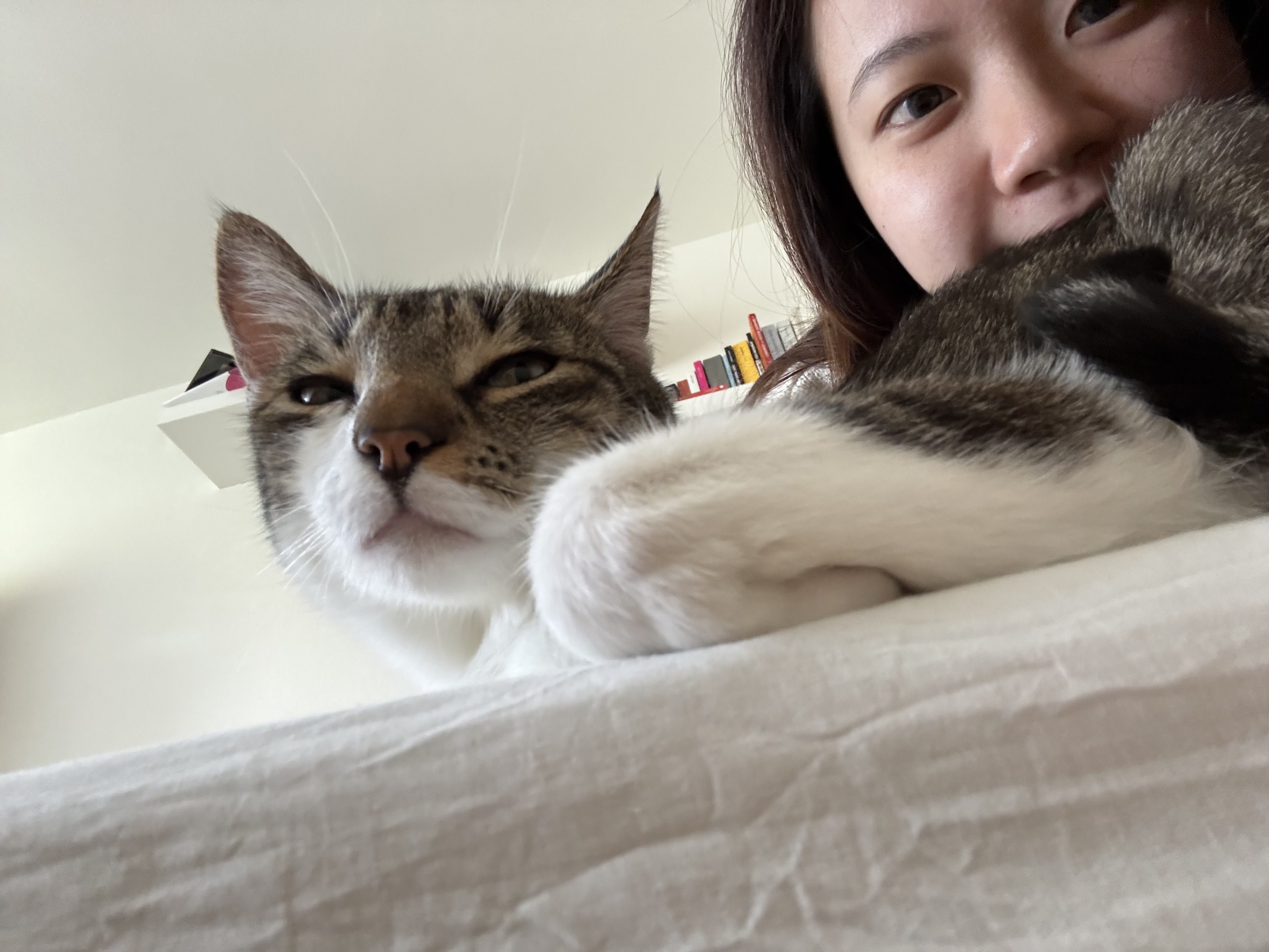 image-7