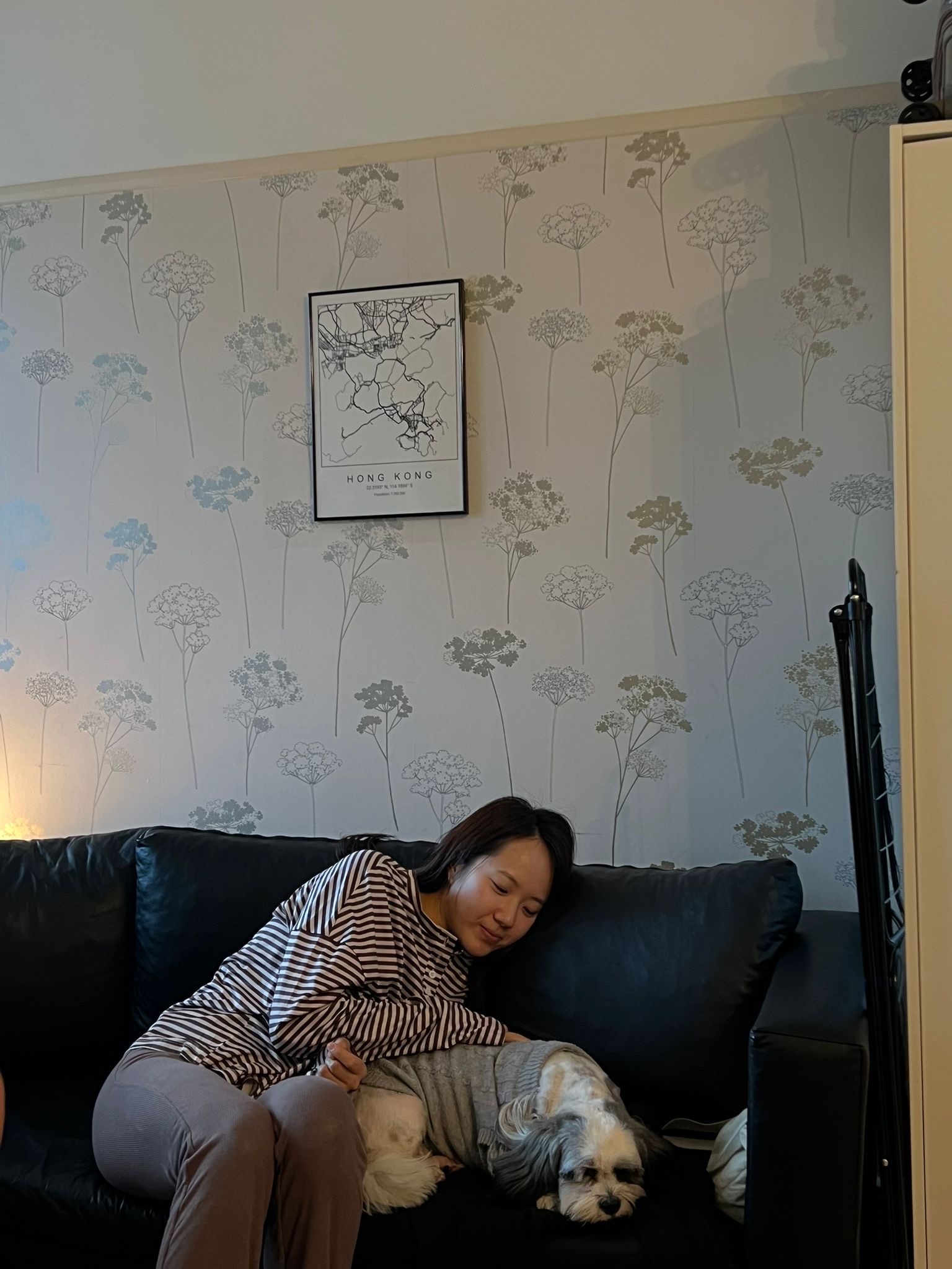 image-12