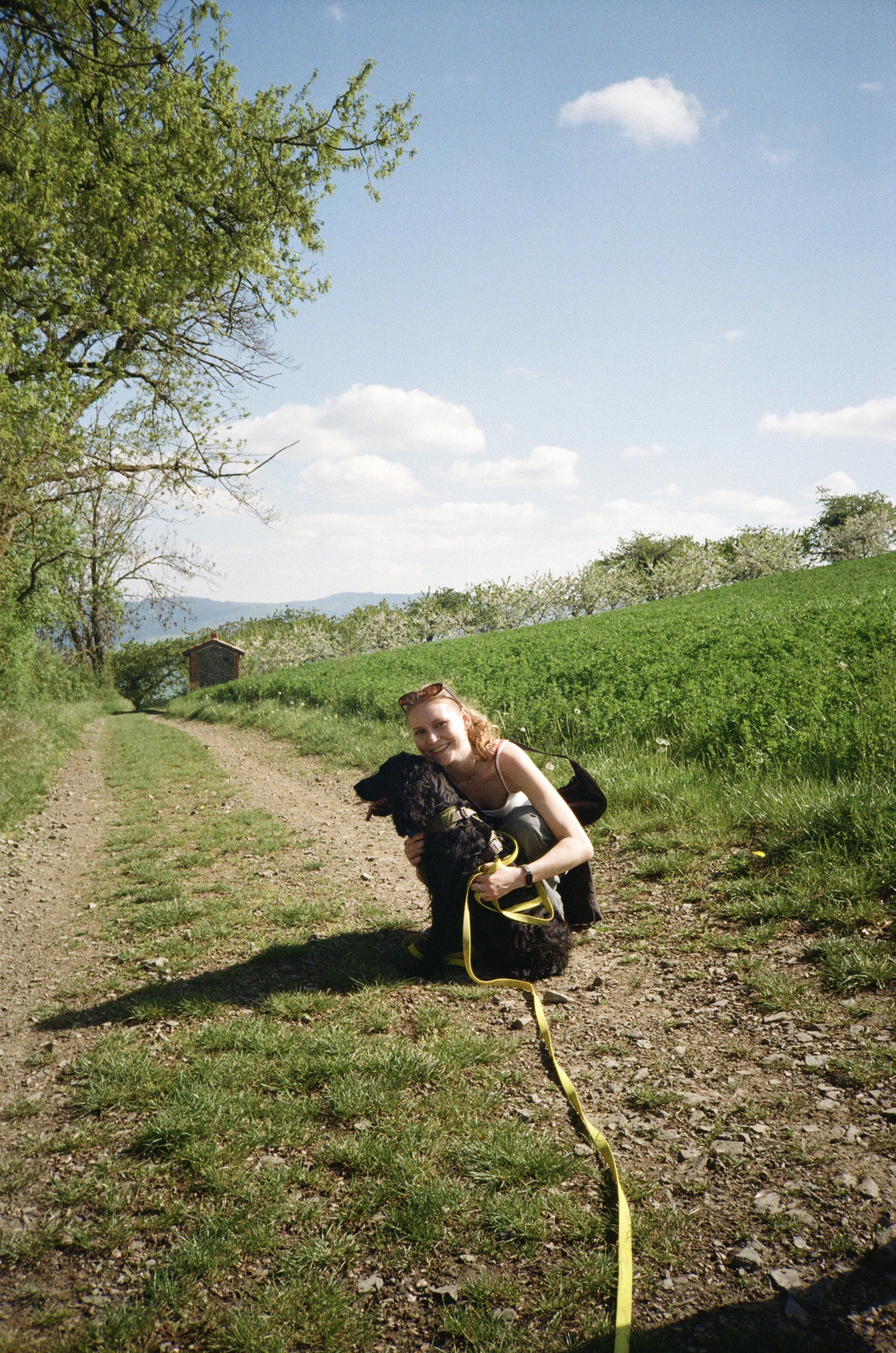 image-5