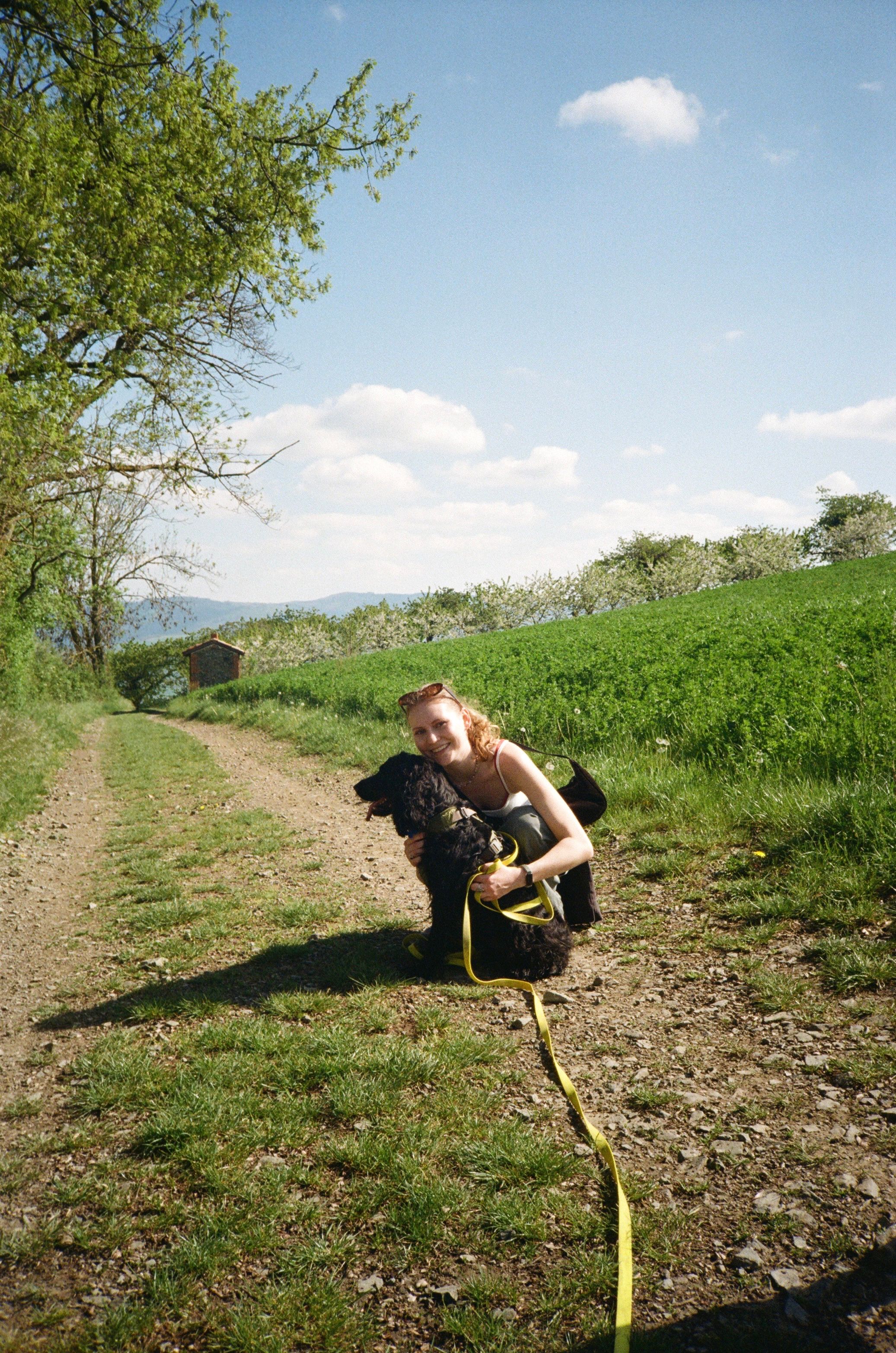 image-5