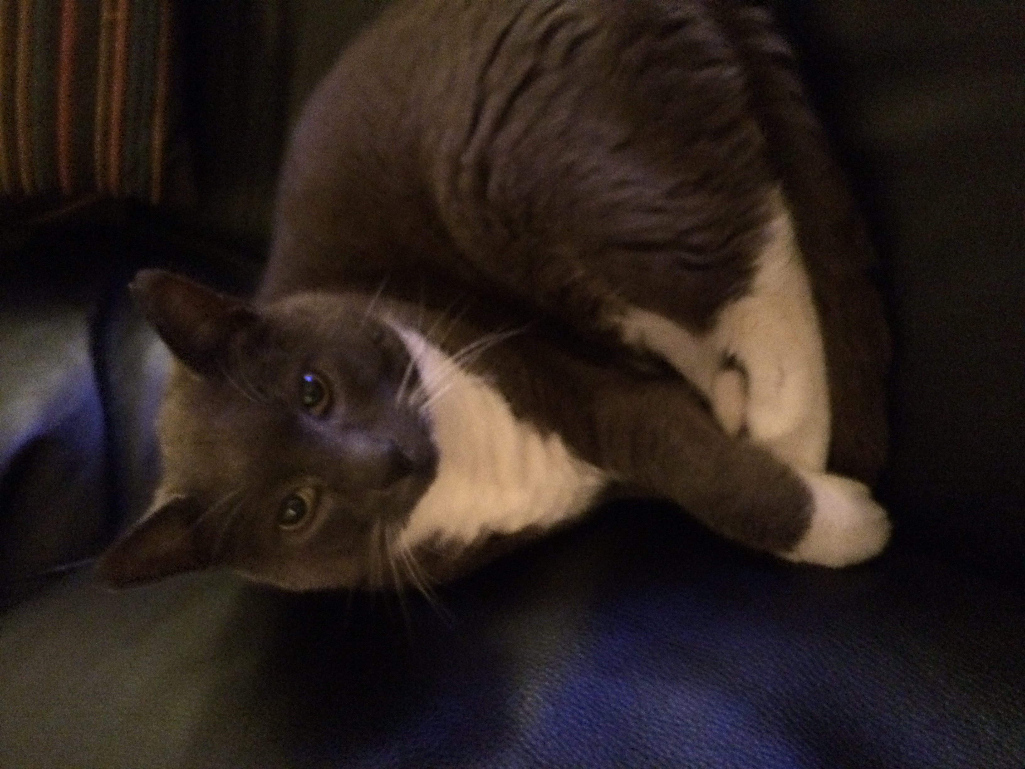 image-6