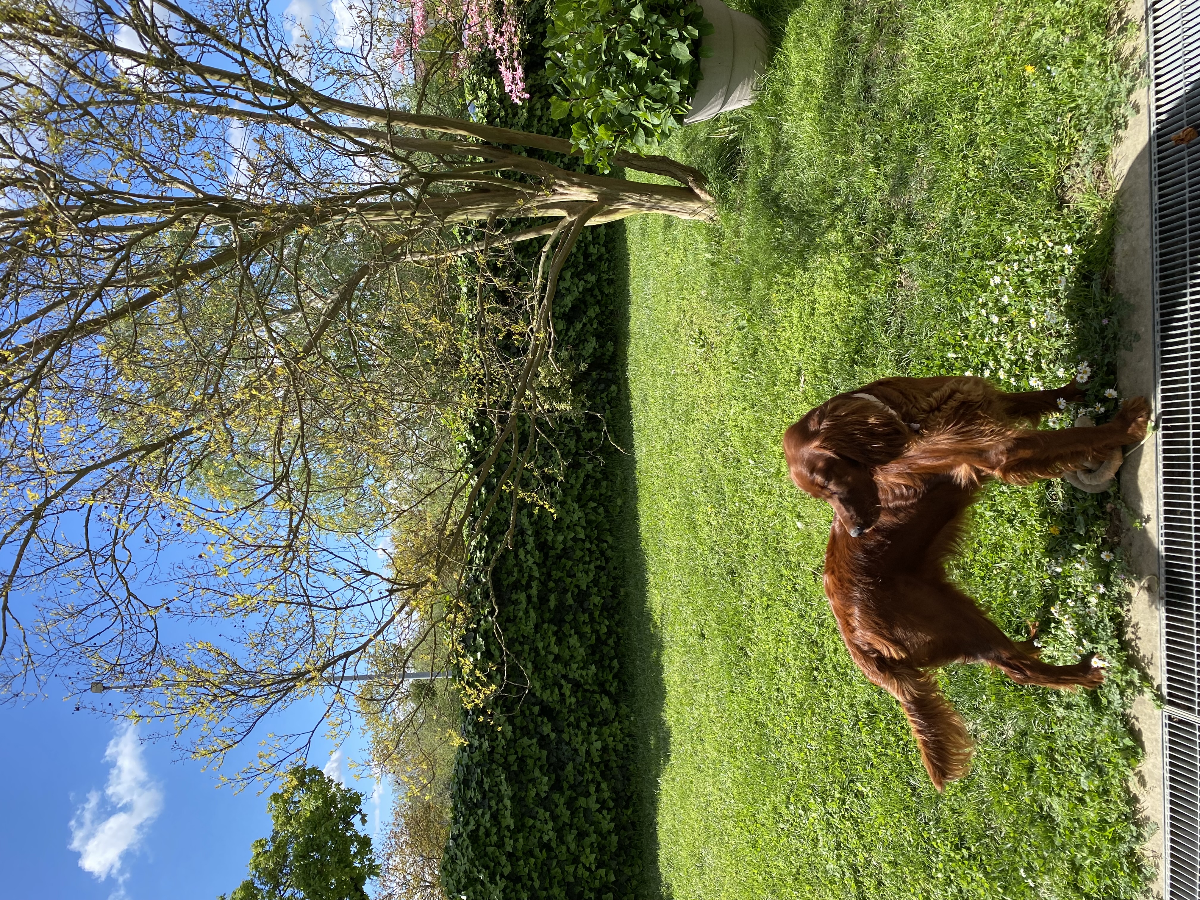 image-17