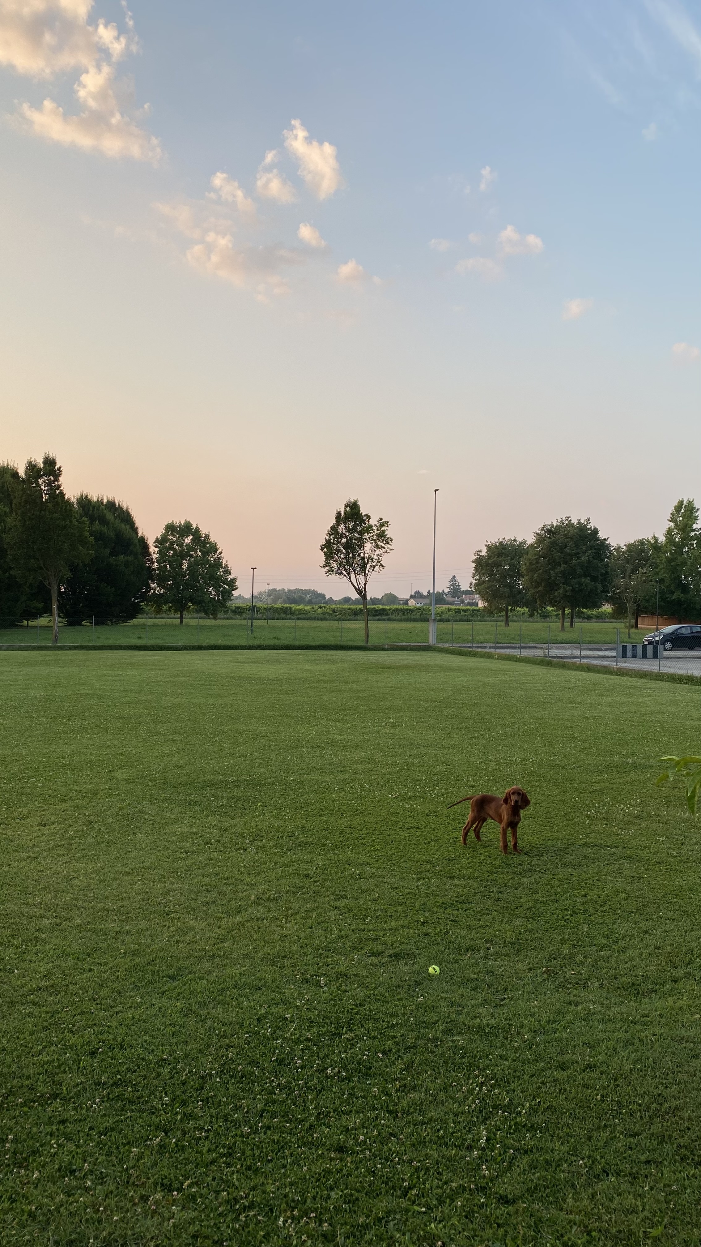 image-21