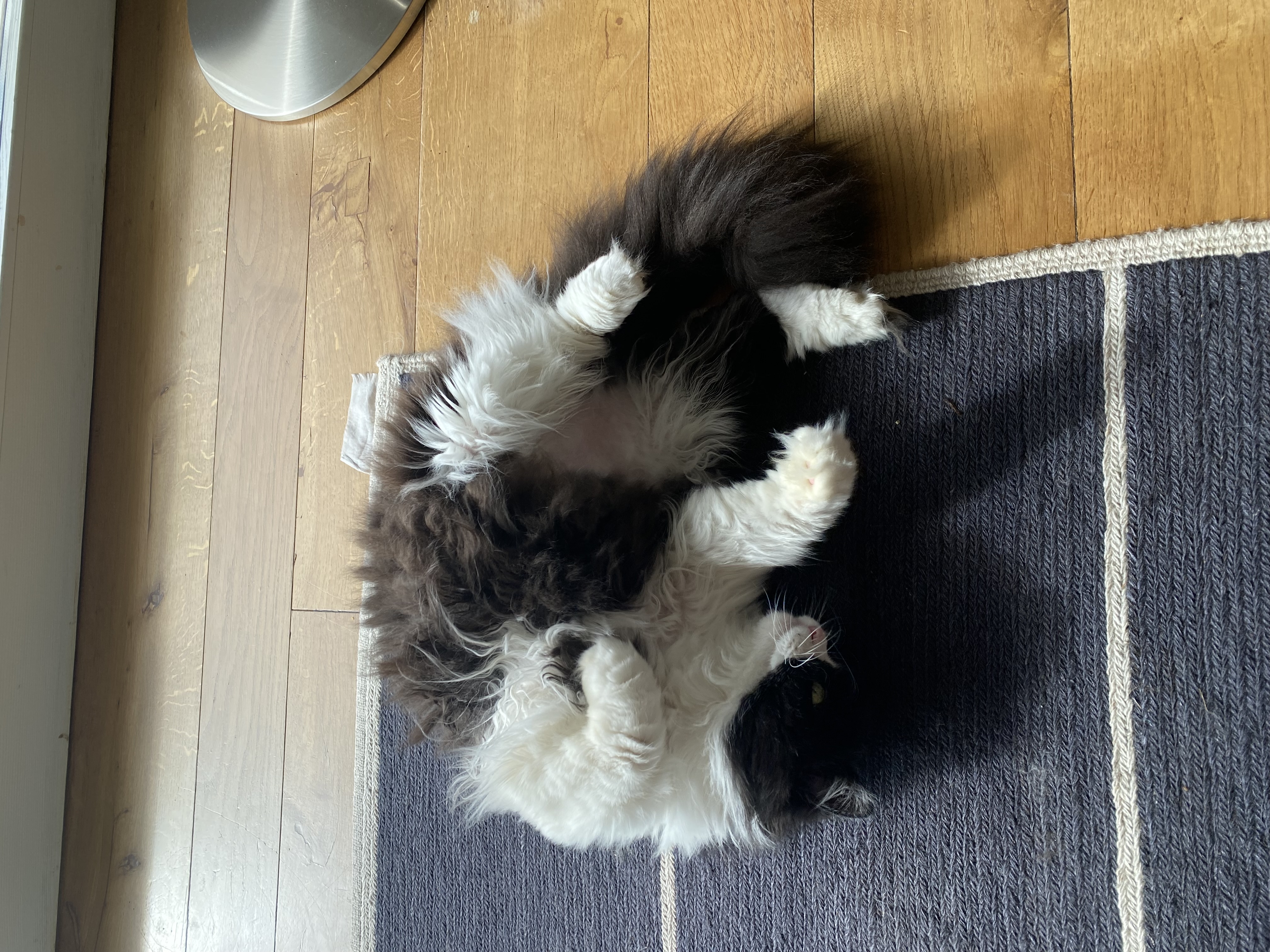 image-9