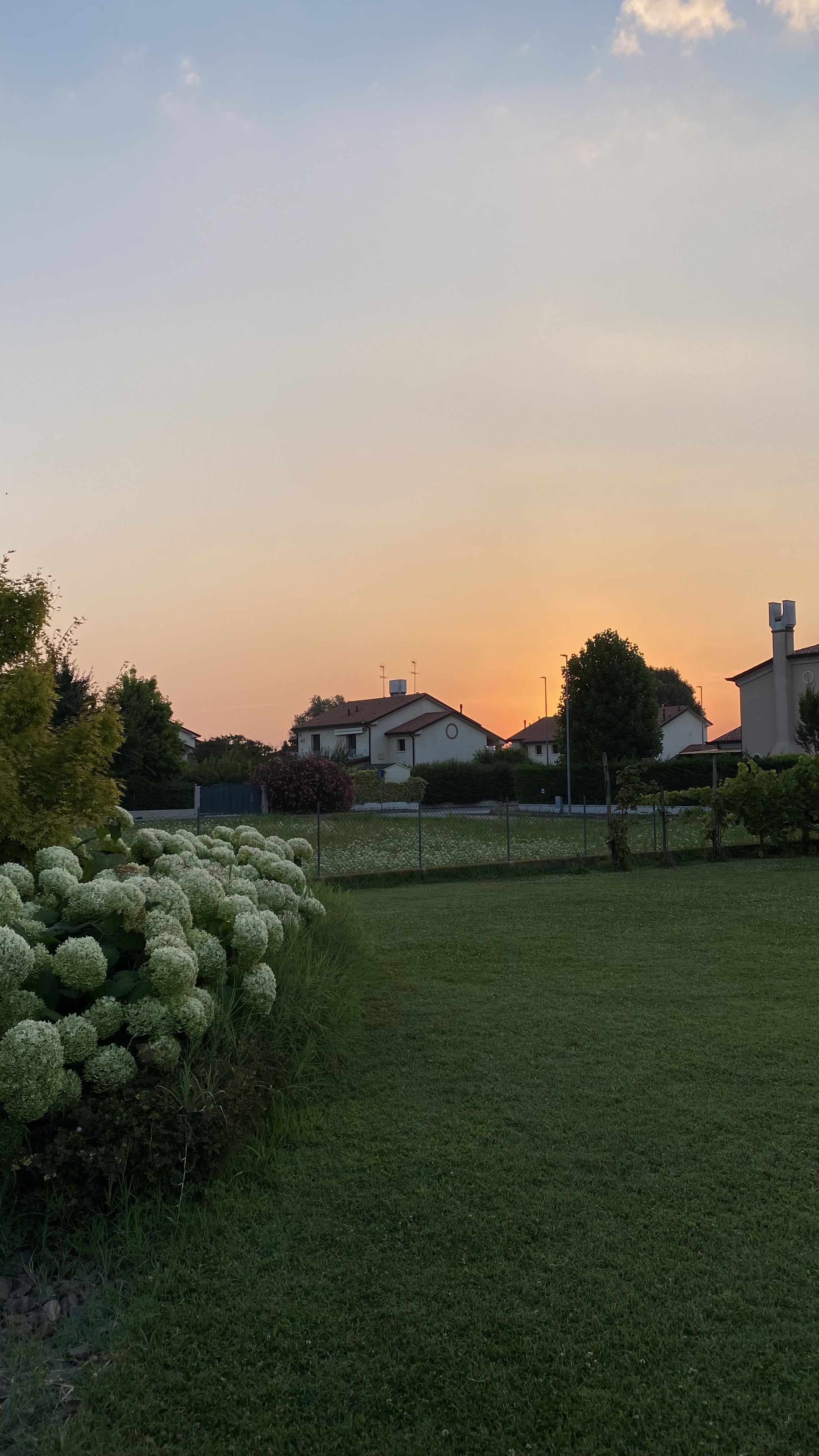 image-22