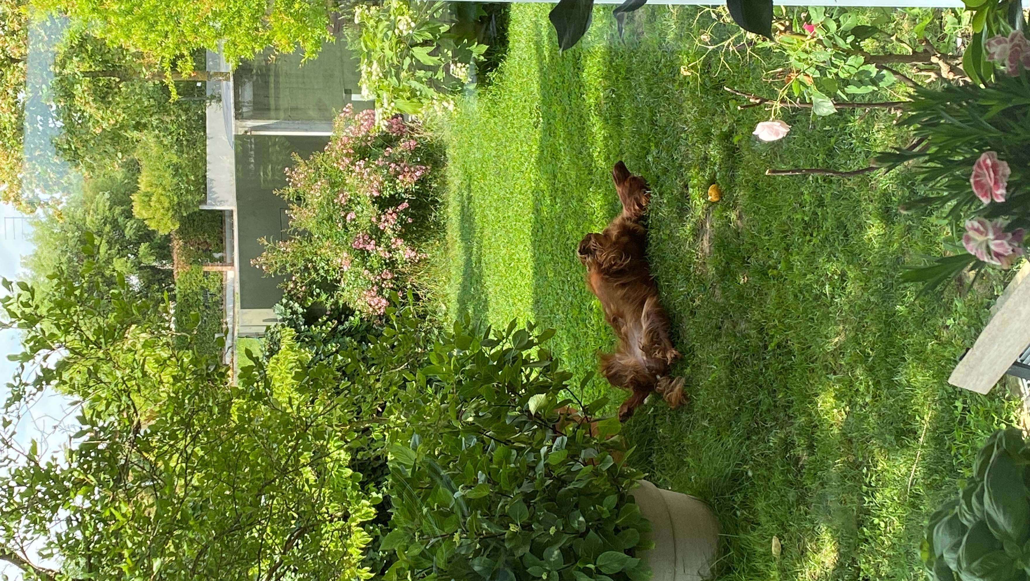 image-11