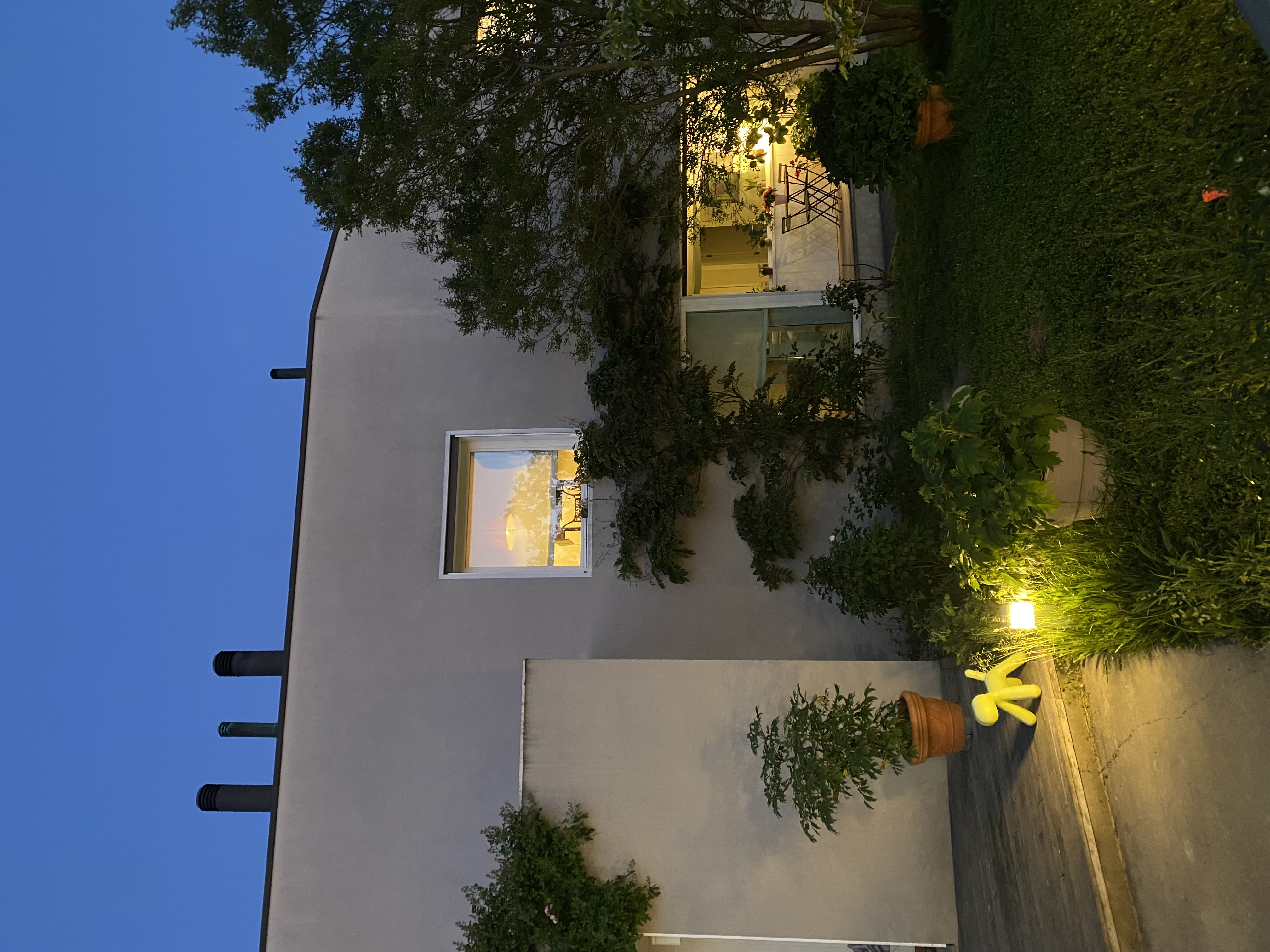 image-16