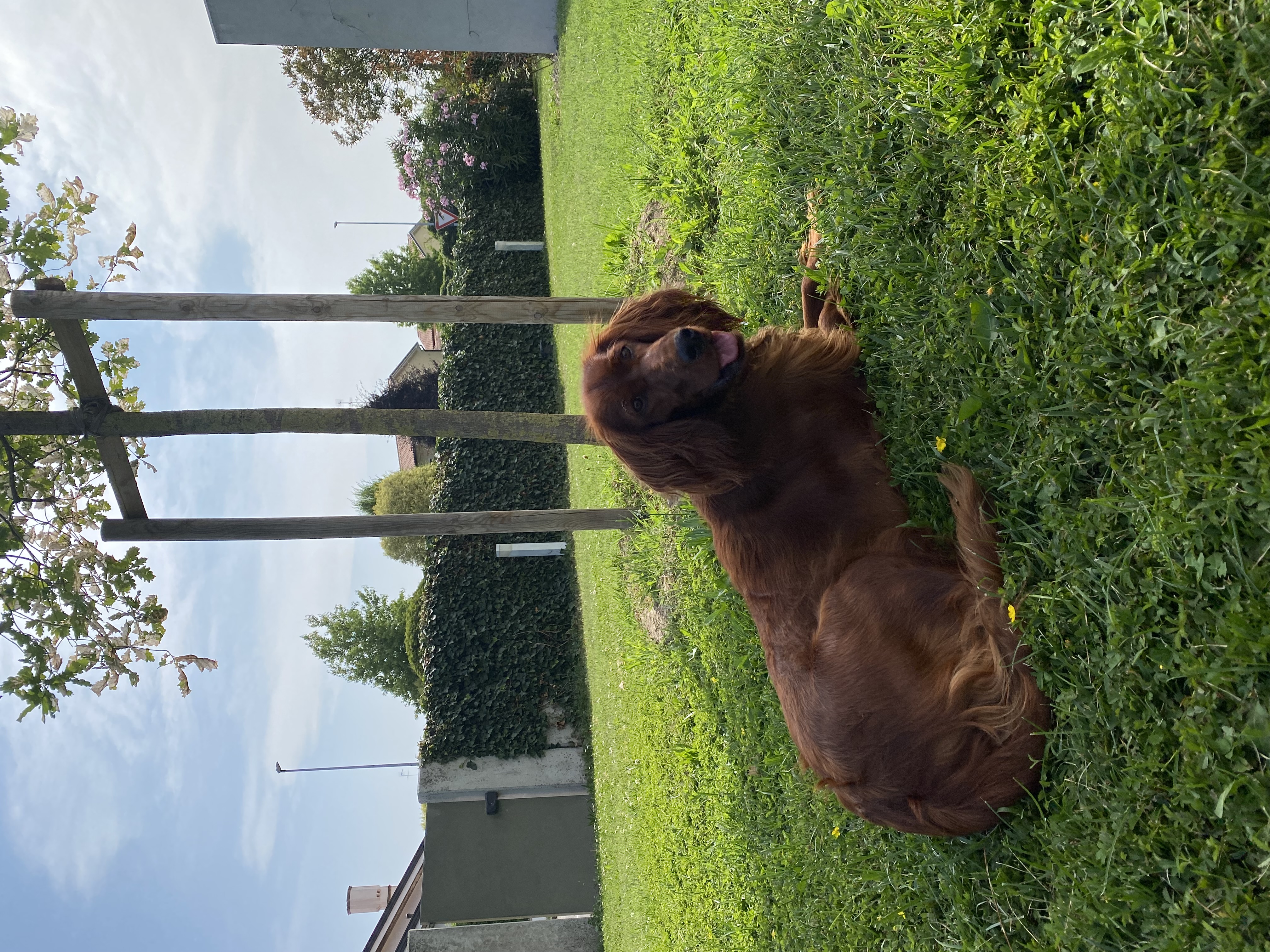 image-14