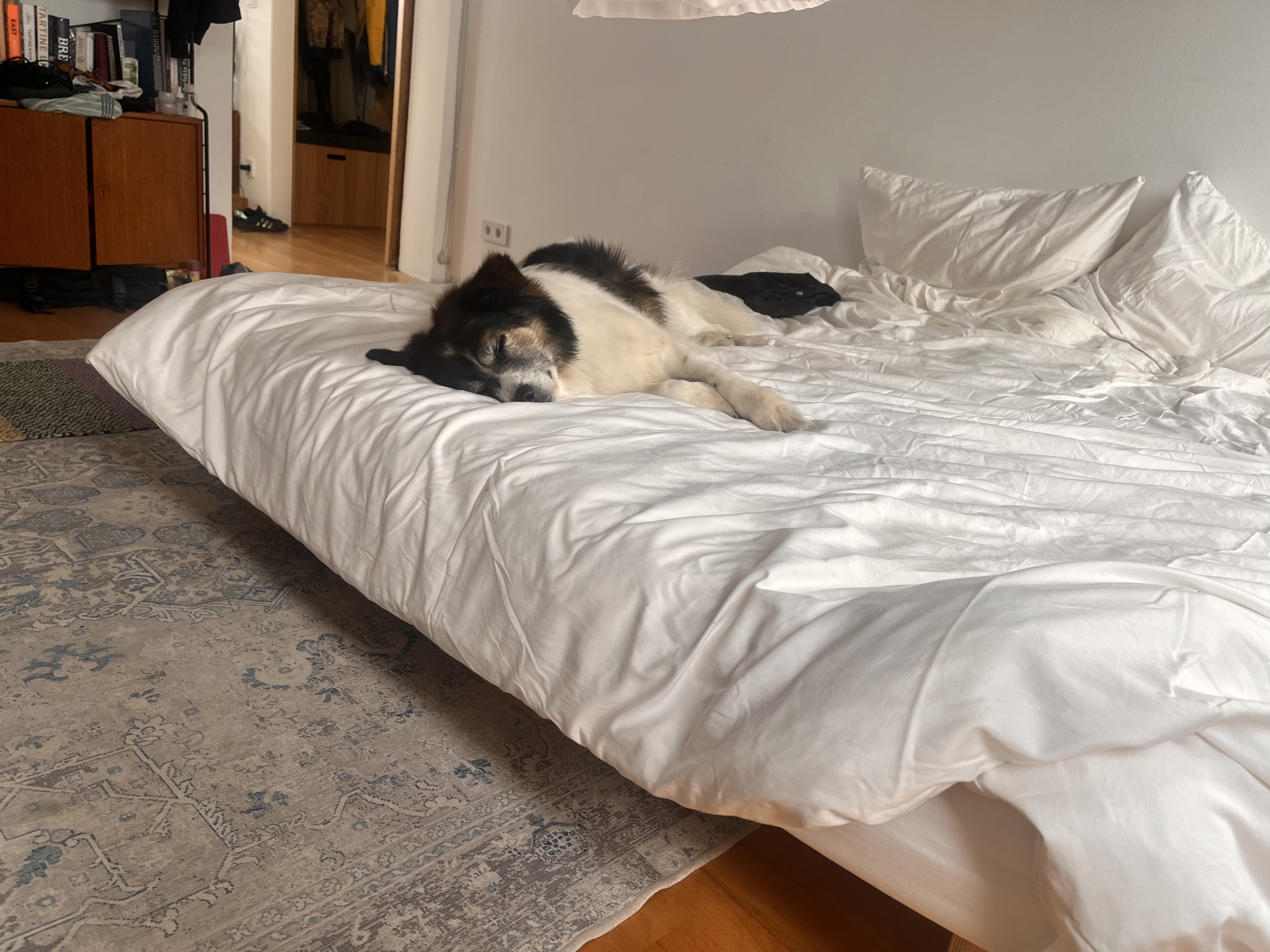image-13