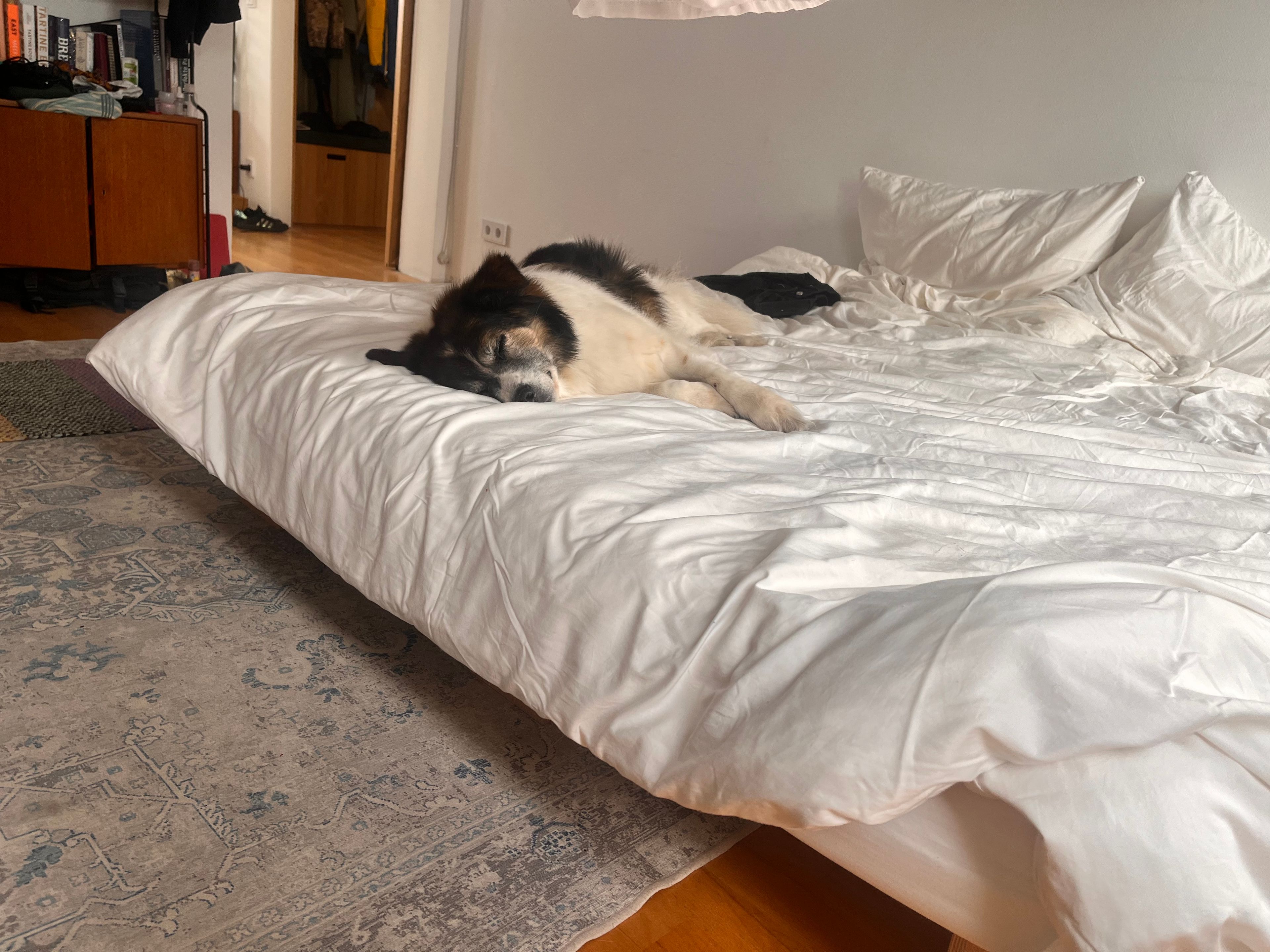 image-13