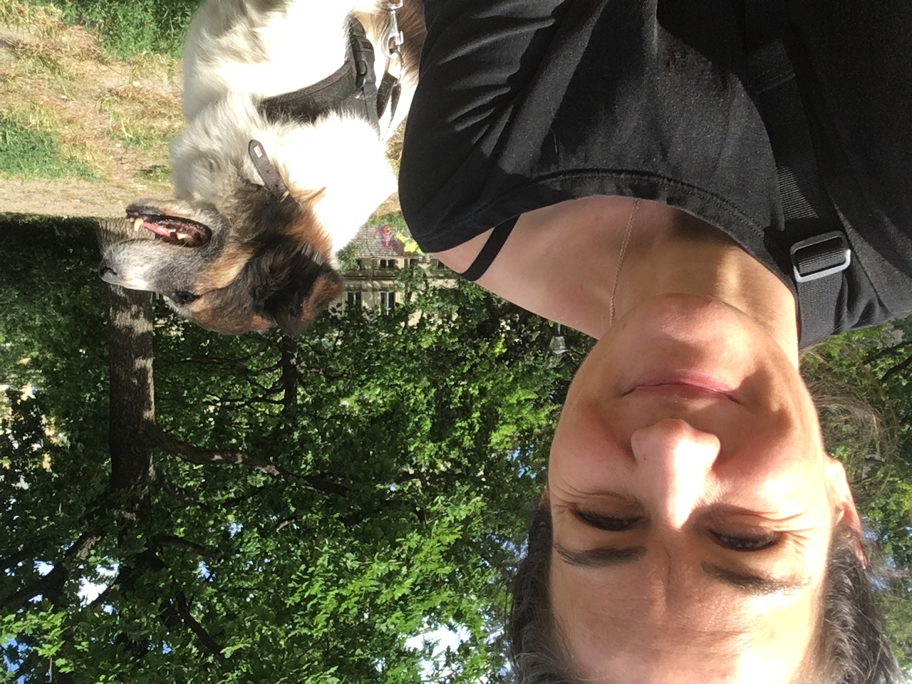 image-8