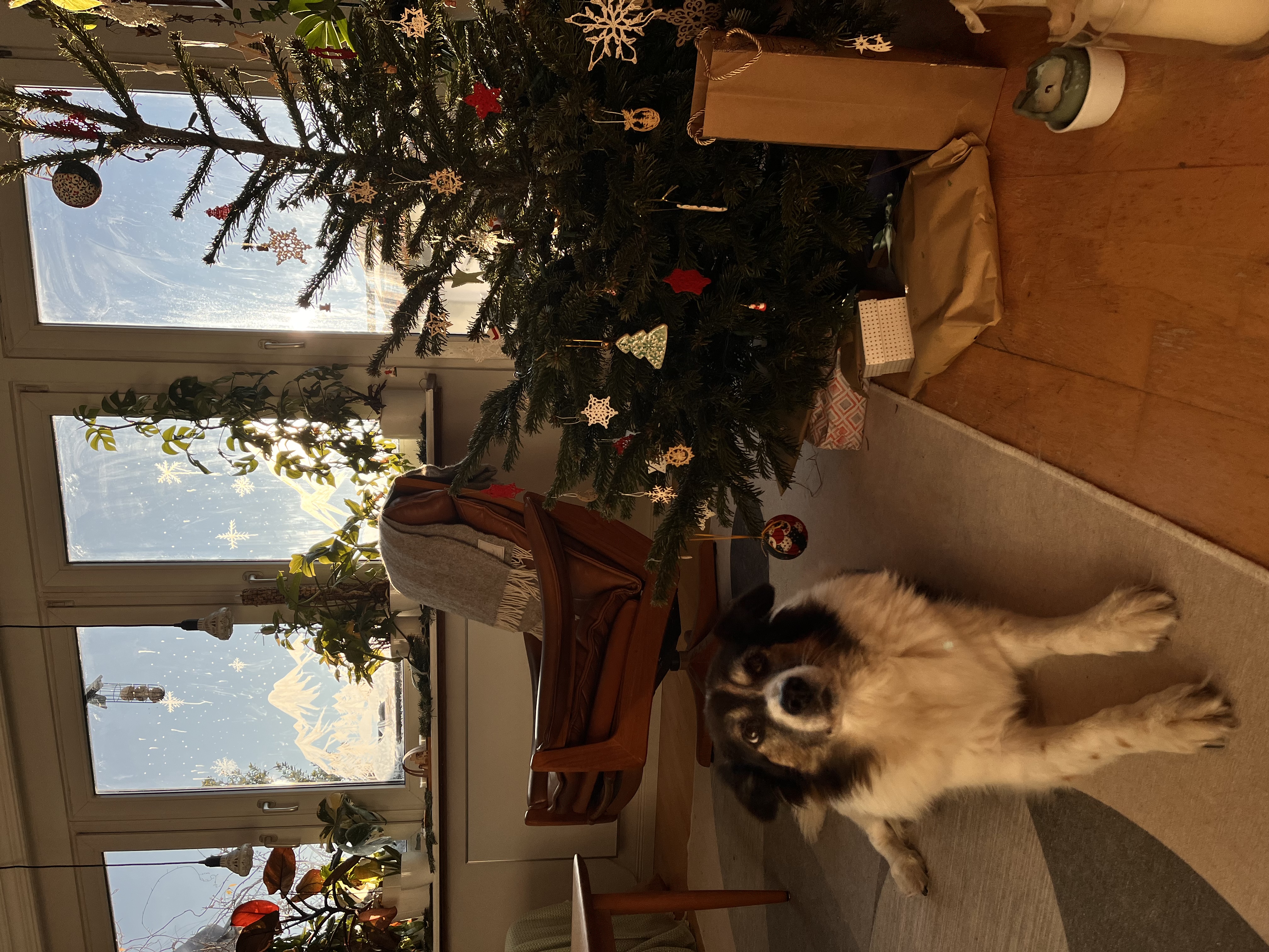 image-11