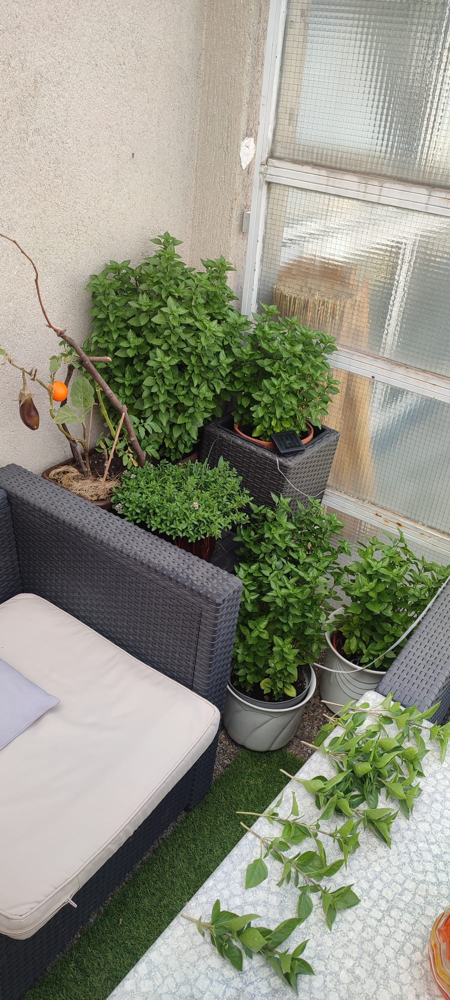image-10