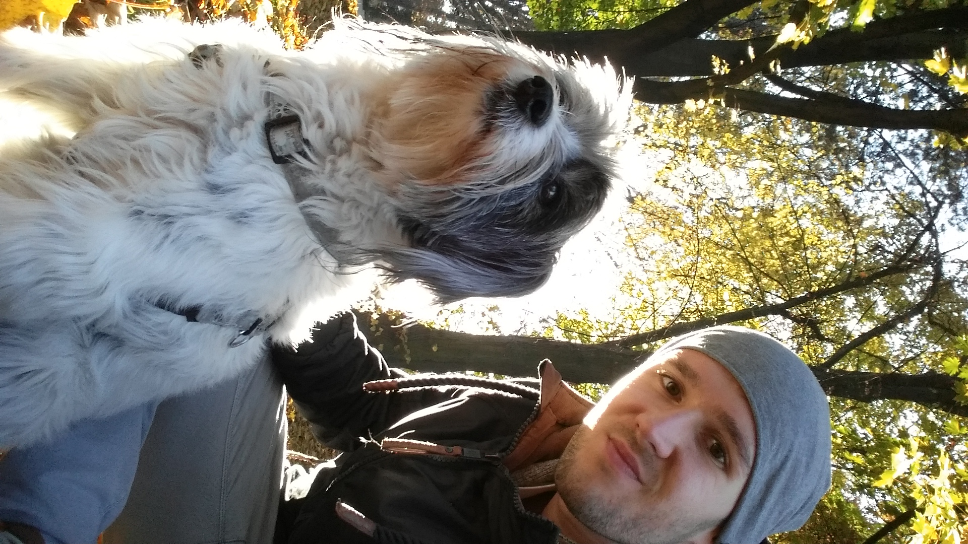 image-6