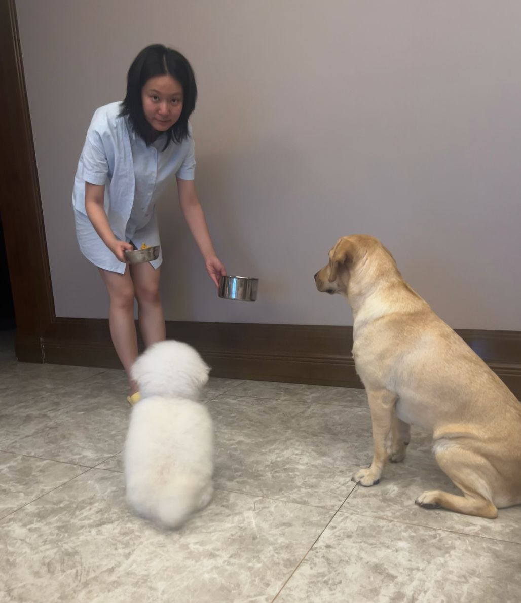 image-17