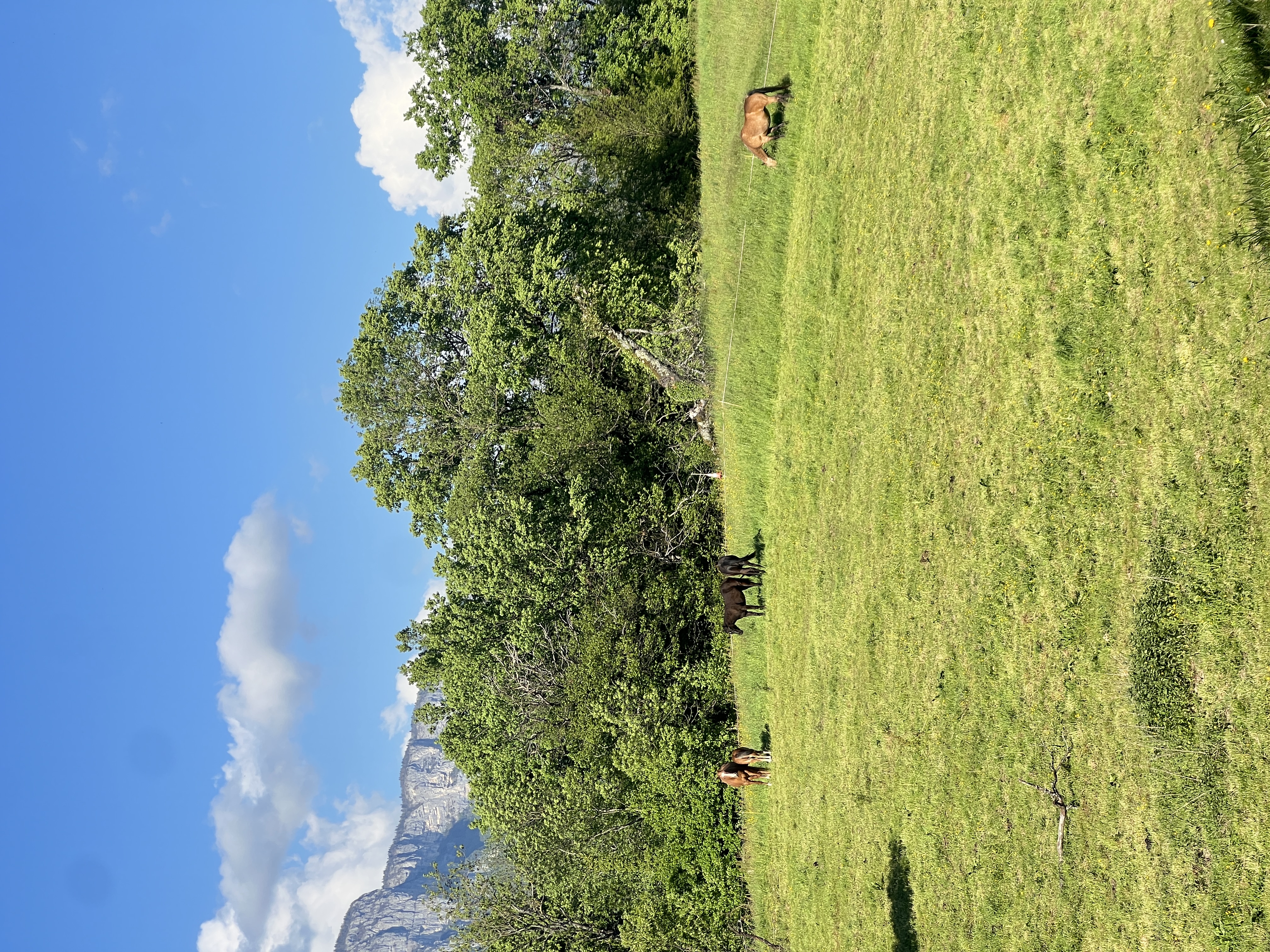 image-34