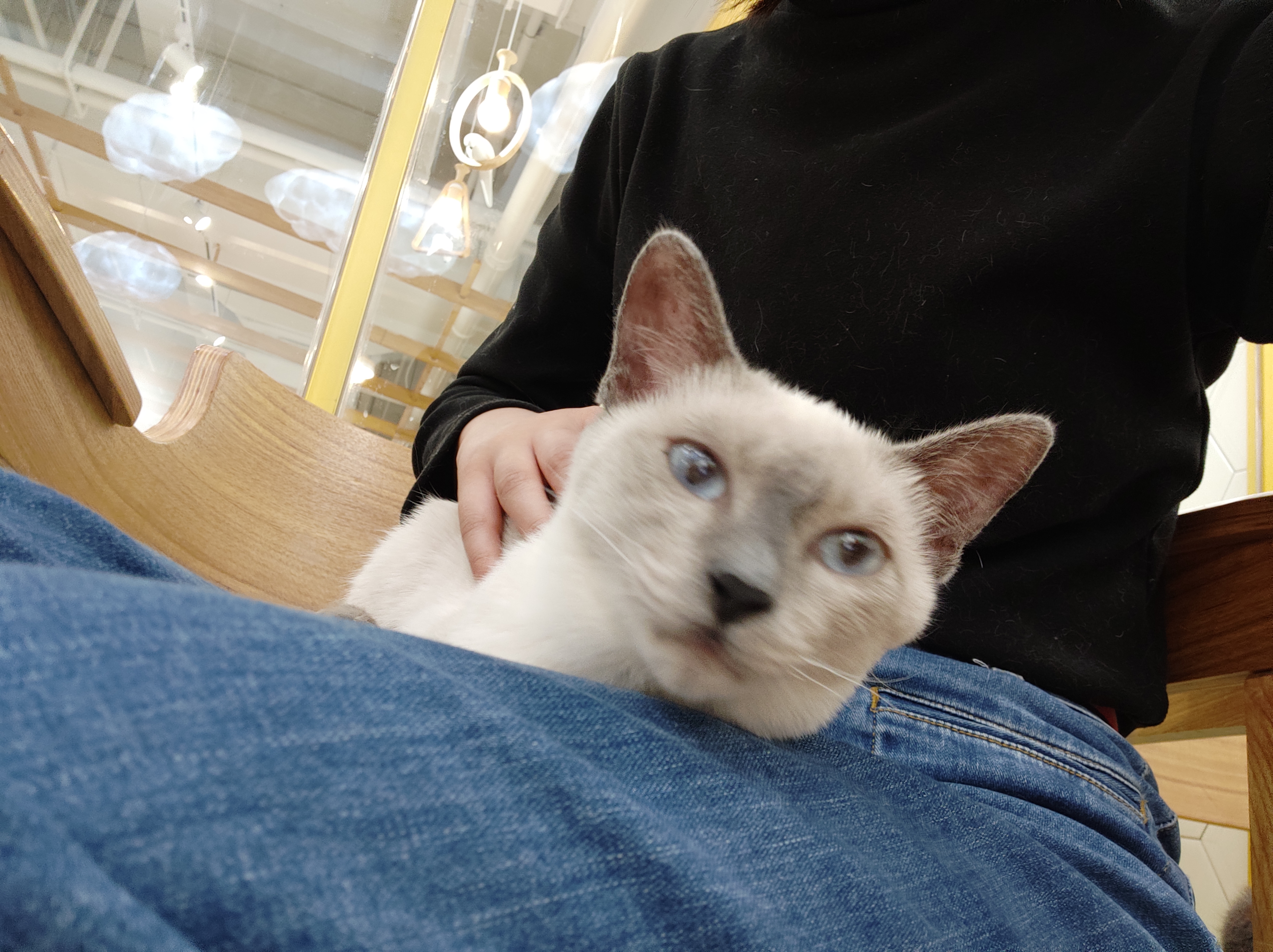 image-4