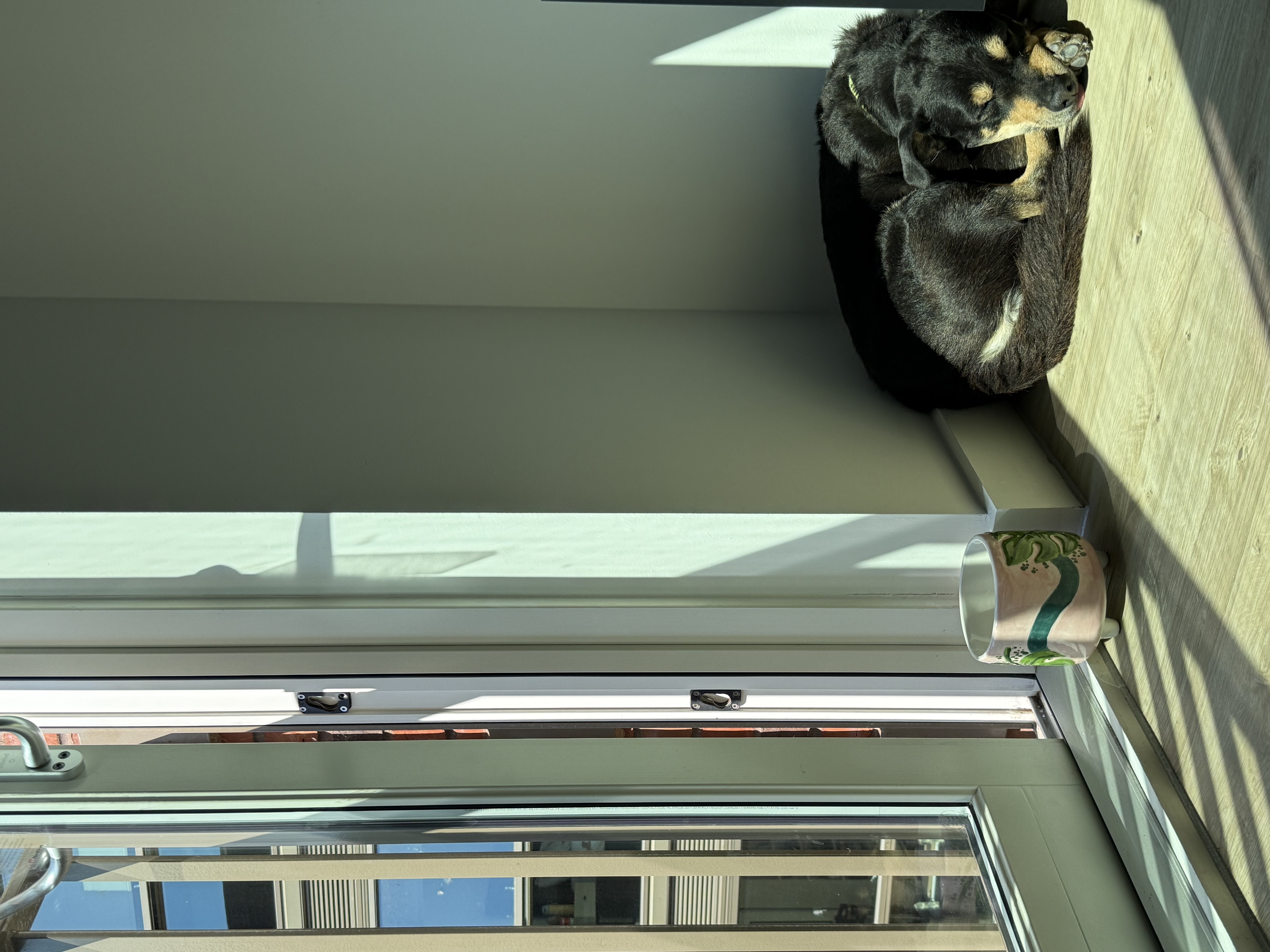 image-4