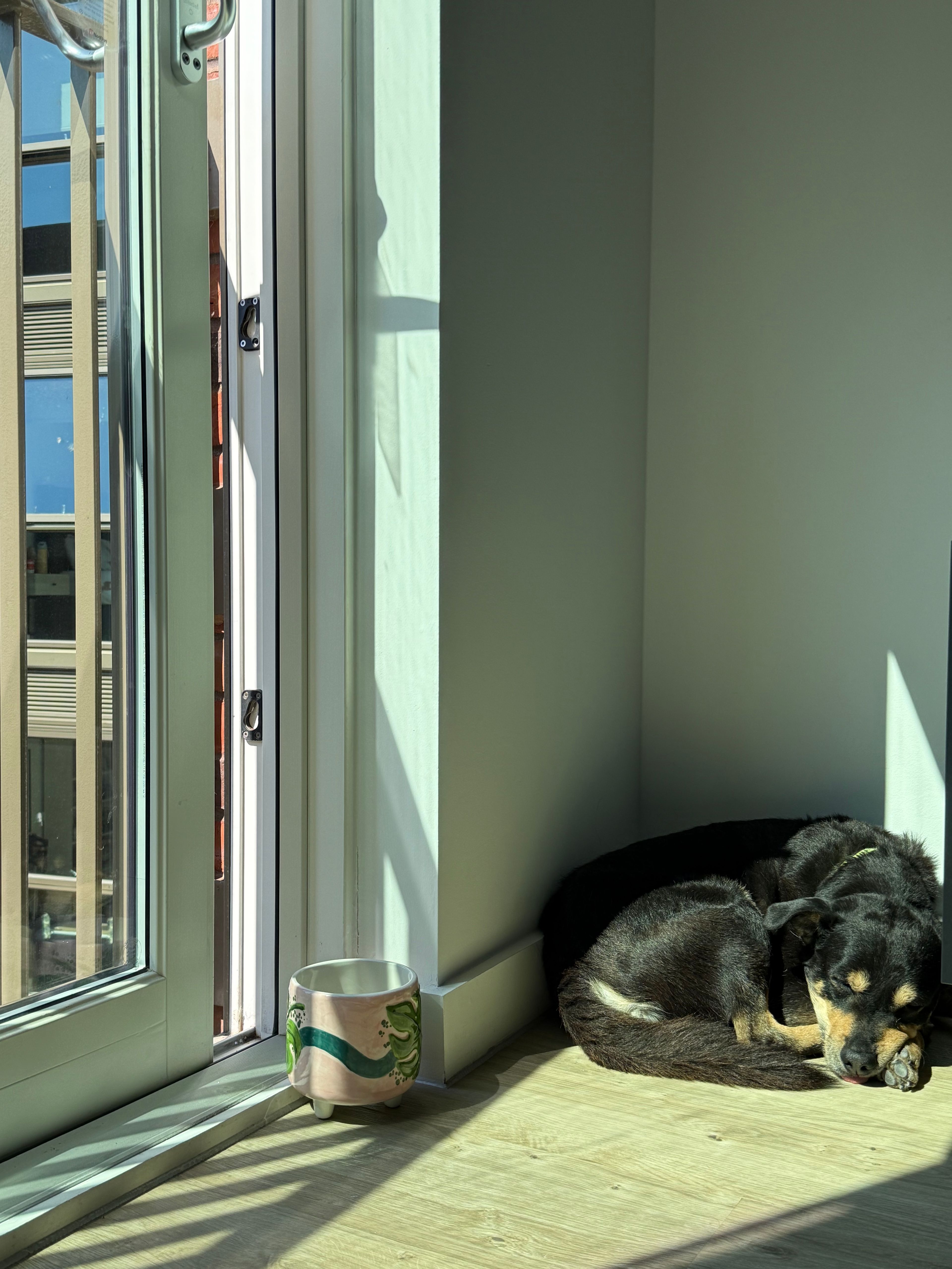 image-4