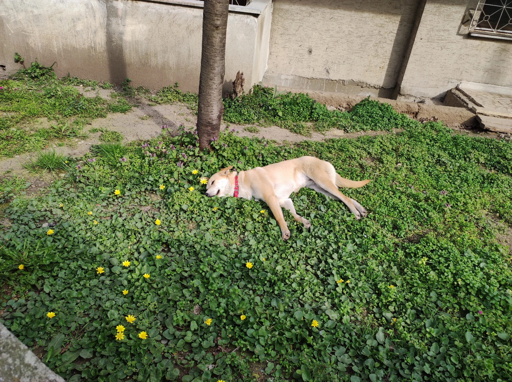 image-8