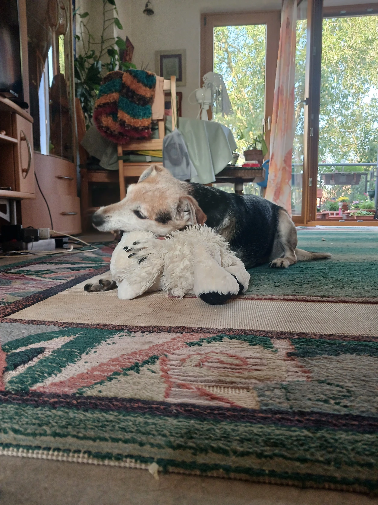 image-8