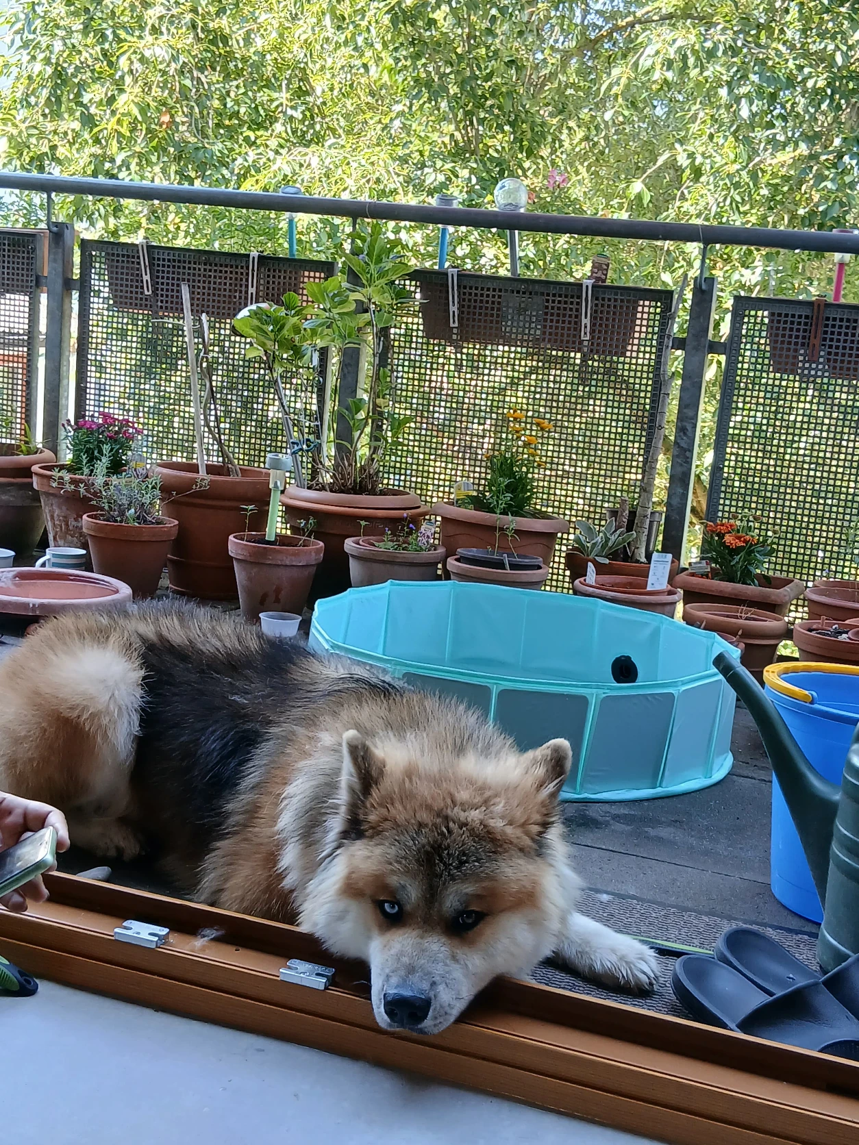 image-9