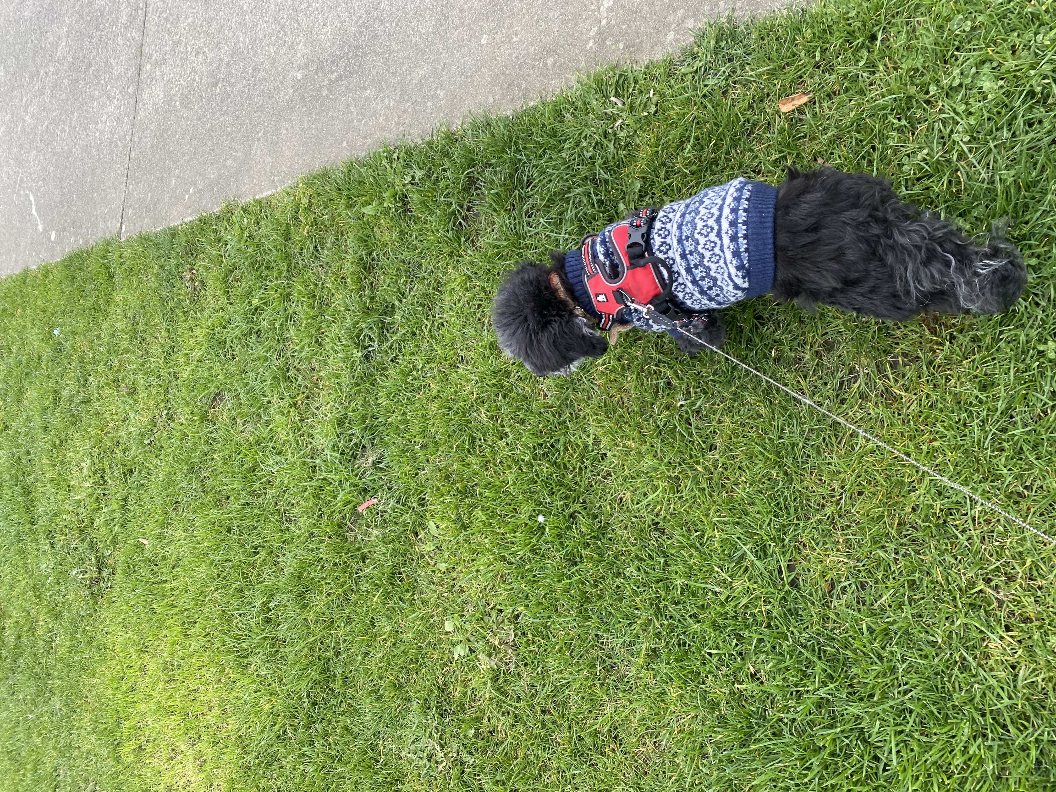 image-13