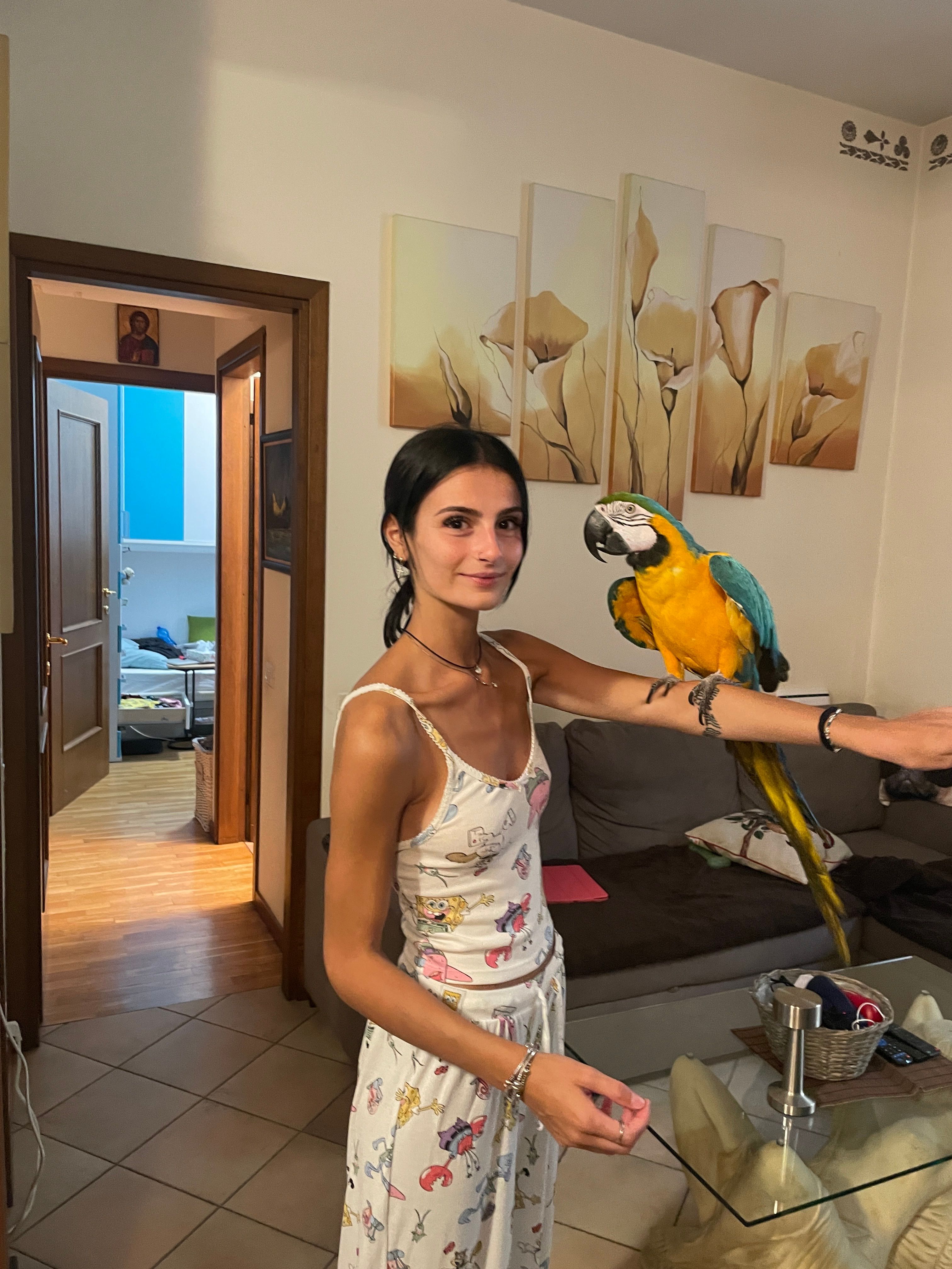 image-12