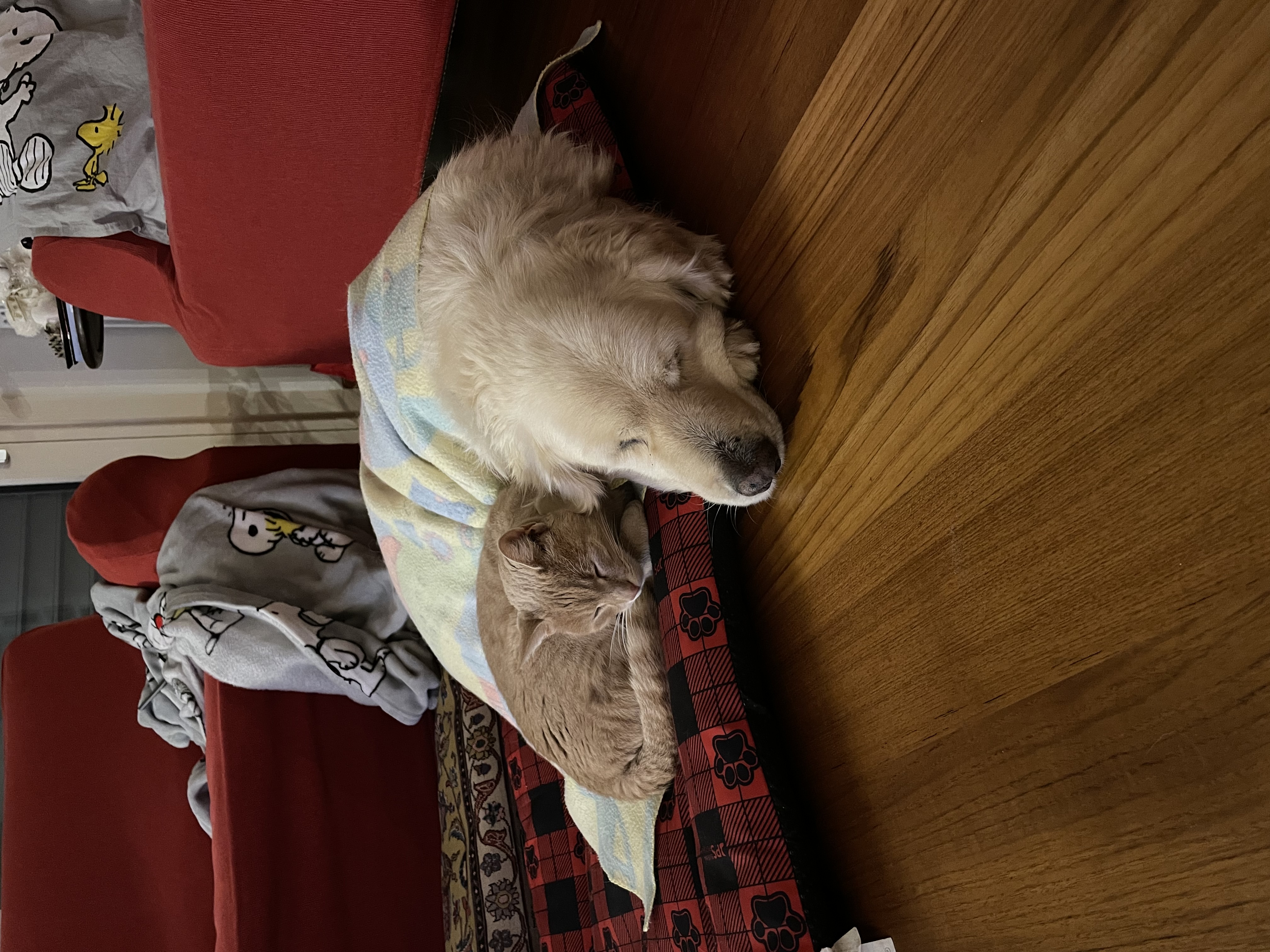 image-10