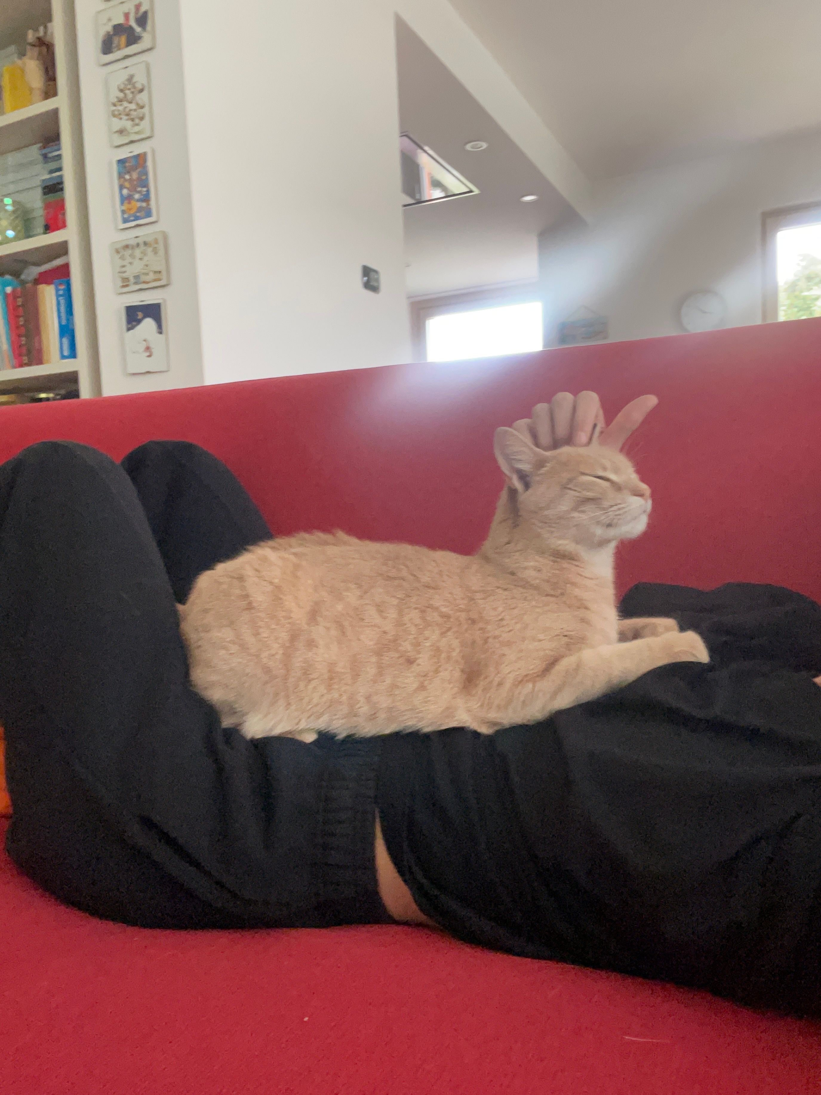 image-14